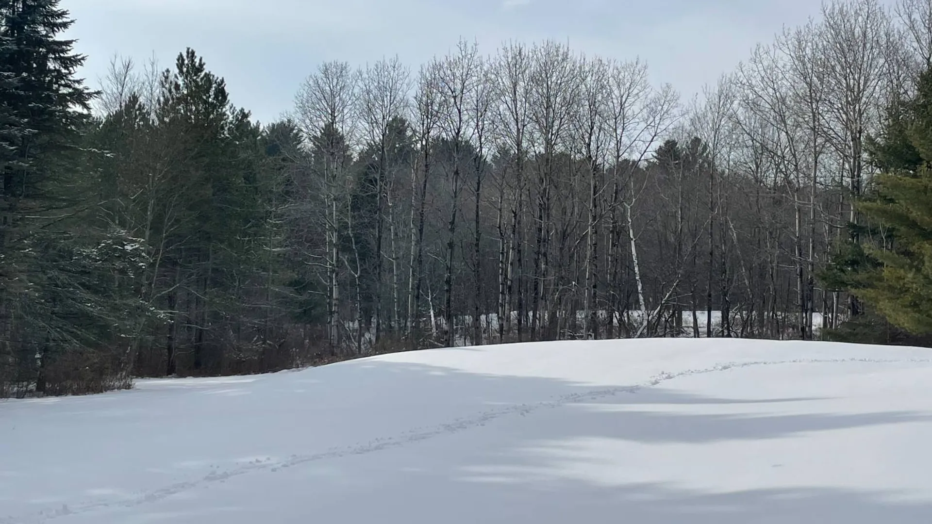 Property at 382 Old Rd, Cropseyville, NY 12052 75