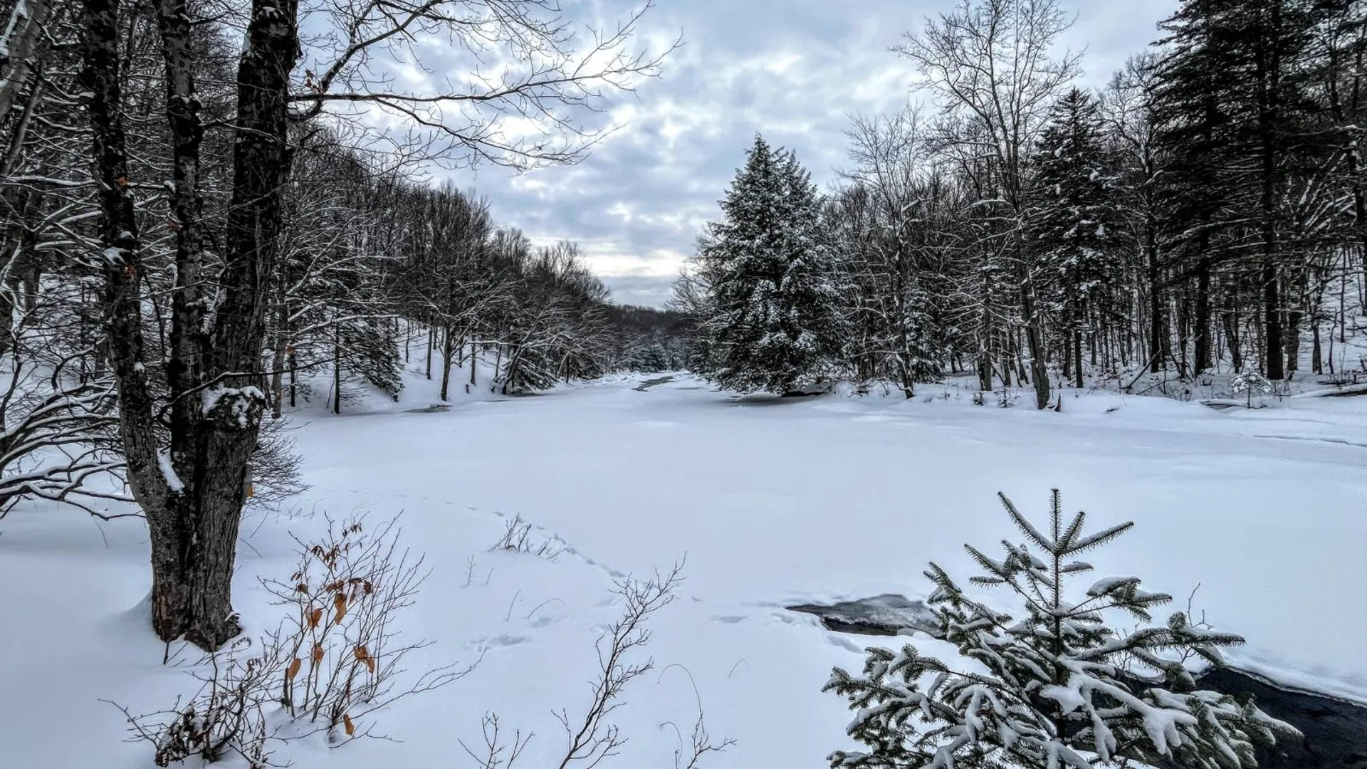 Property at 00 Coffin Mills Rd, Oswegatchie, NY 13670 11