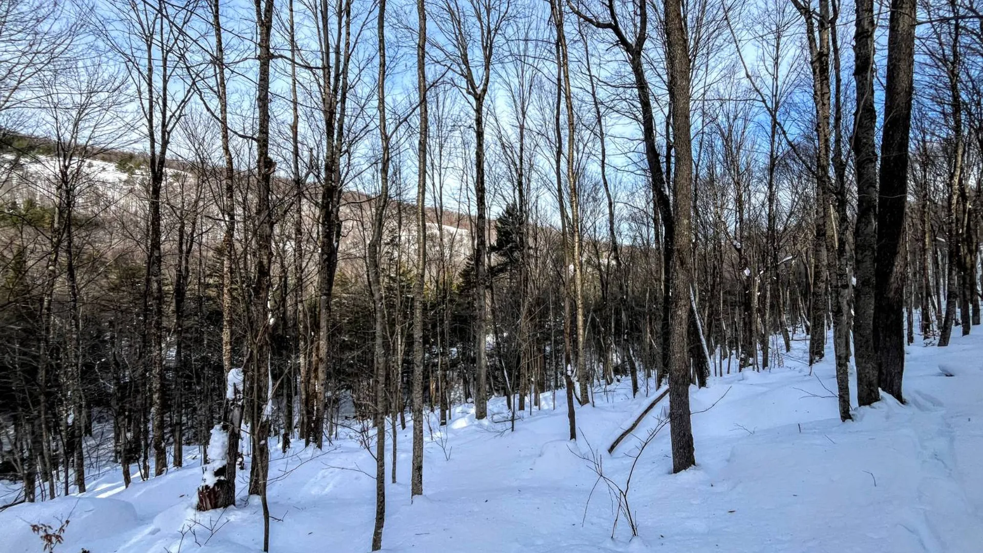 Property at 00 Coffin Mills Rd, Oswegatchie, NY 13670 12
