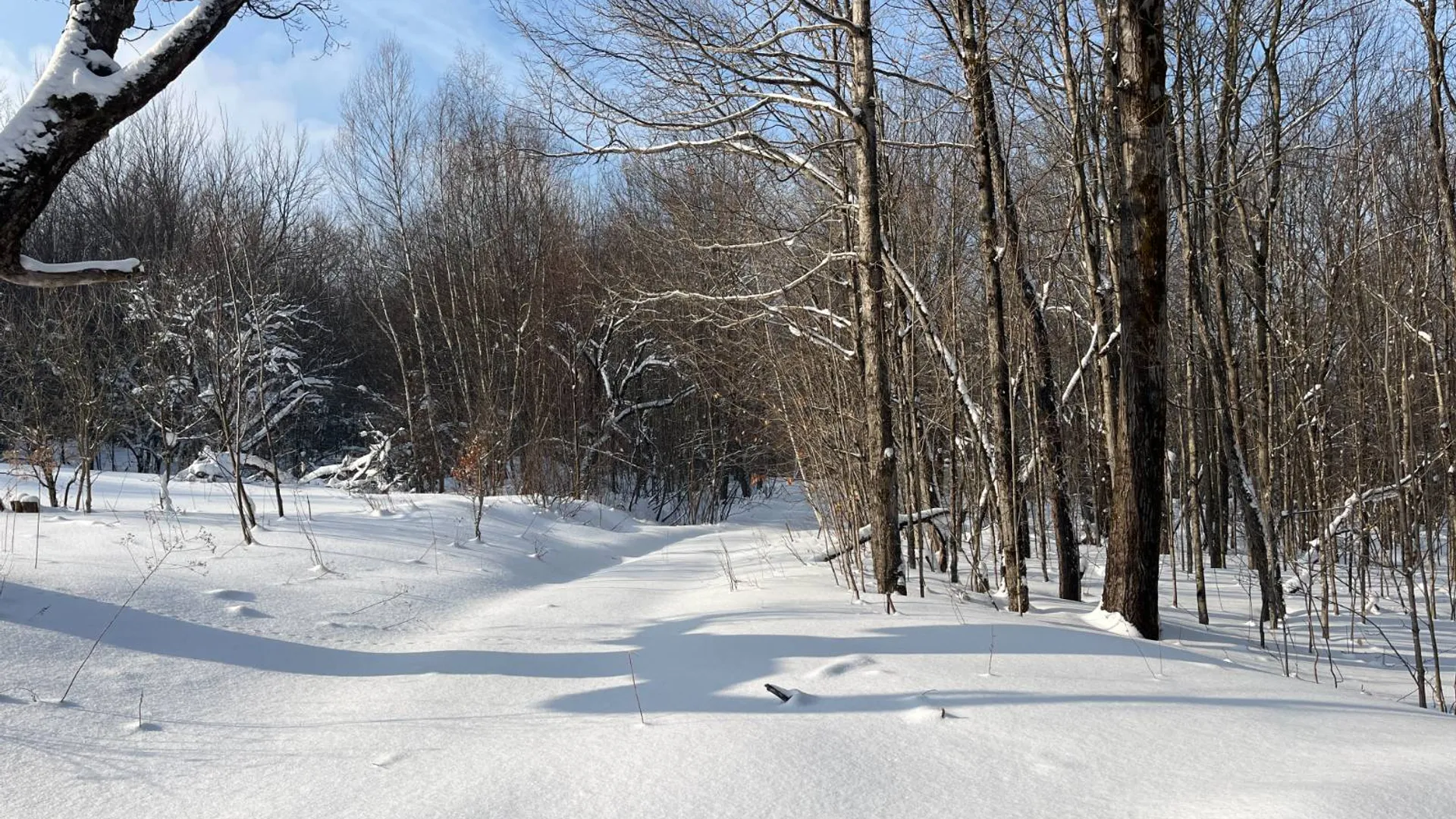 Property at 00 Coffin Mills Rd, Oswegatchie, NY 13670 13