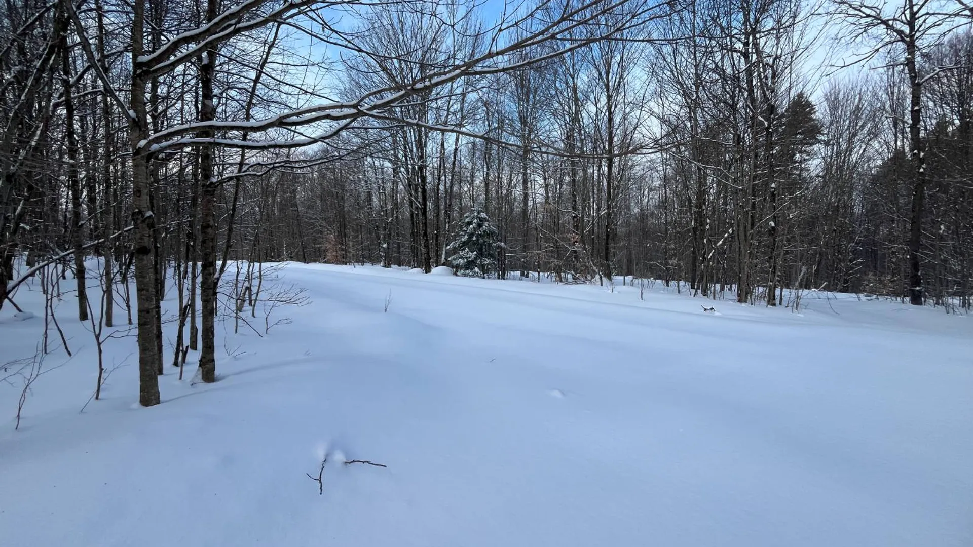 Property at 00 Coffin Mills Rd, Oswegatchie, NY 13670 14