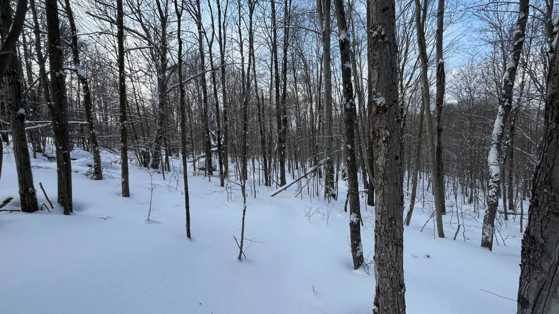 Property at 00 Coffin Mills Rd, Oswegatchie, NY 13670 15