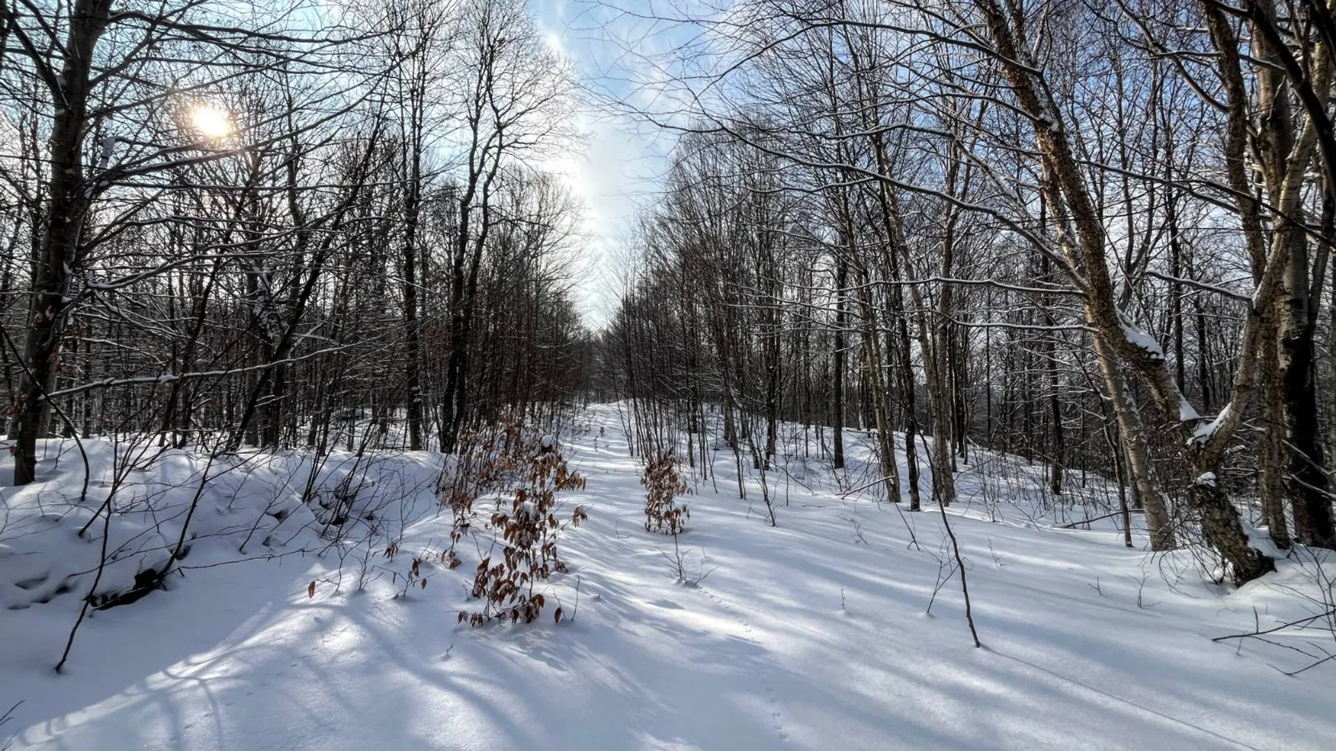 Property at 00 Coffin Mills Rd, Oswegatchie, NY 13670 16