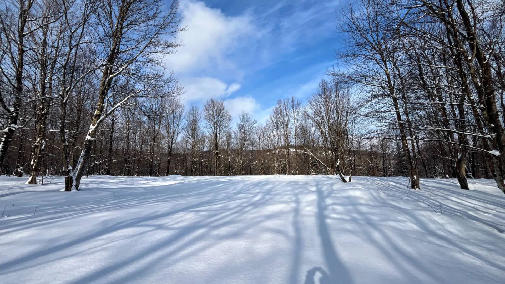 Property at 00 Coffin Mills Rd, Oswegatchie, NY 13670 17