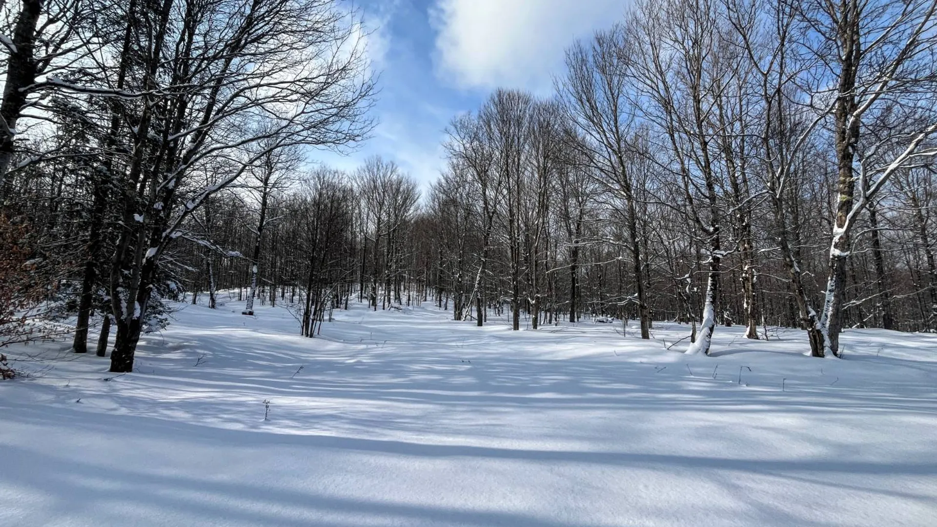 Property at 00 Coffin Mills Rd, Oswegatchie, NY 13670 18
