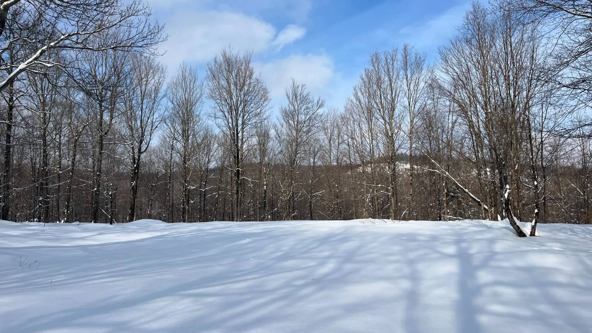 Property at 00 Coffin Mills Rd, Oswegatchie, NY 13670 19
