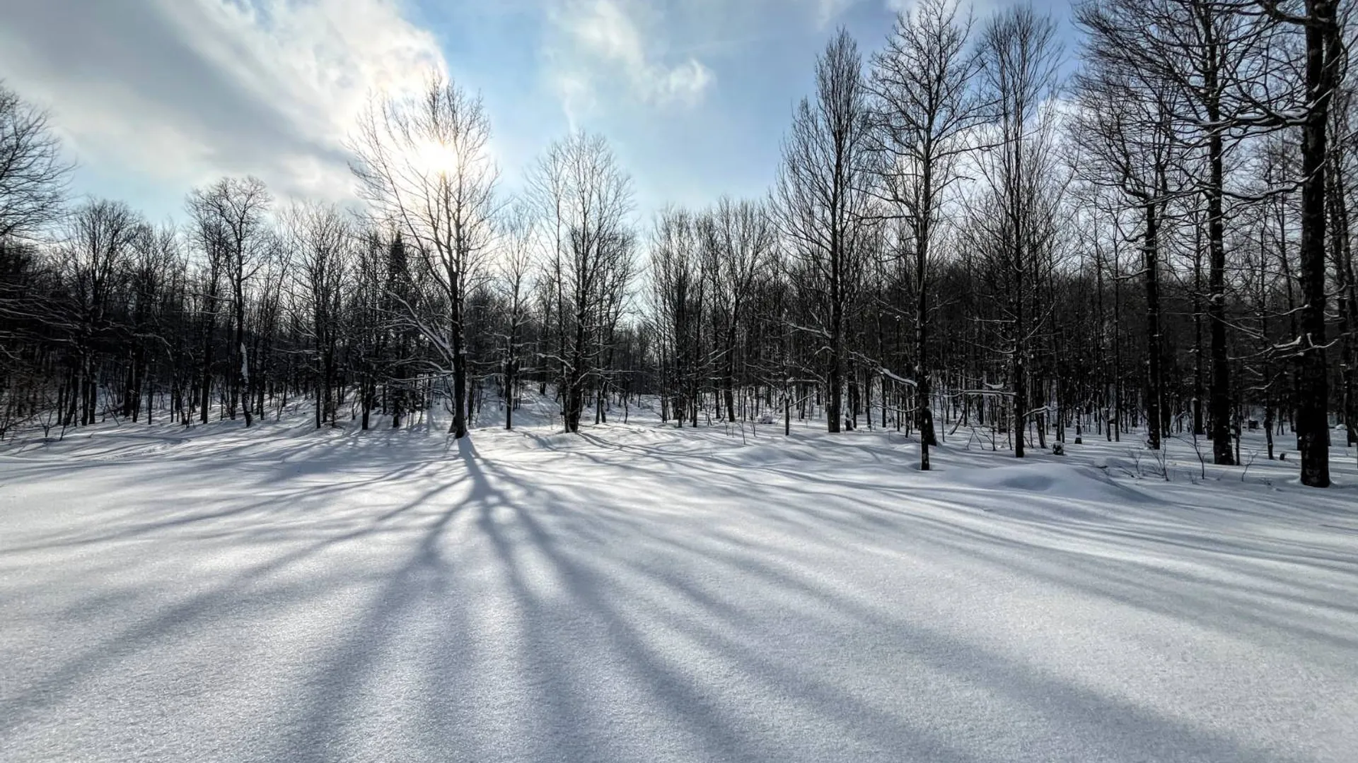 Property at 00 Coffin Mills Rd, Oswegatchie, NY 13670 20