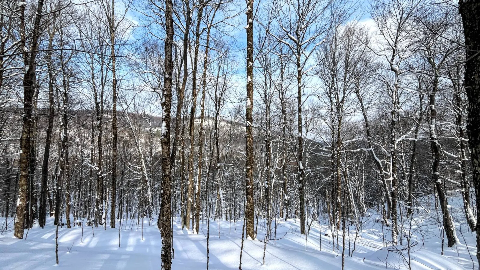 Property at 00 Coffin Mills Rd, Oswegatchie, NY 13670 21