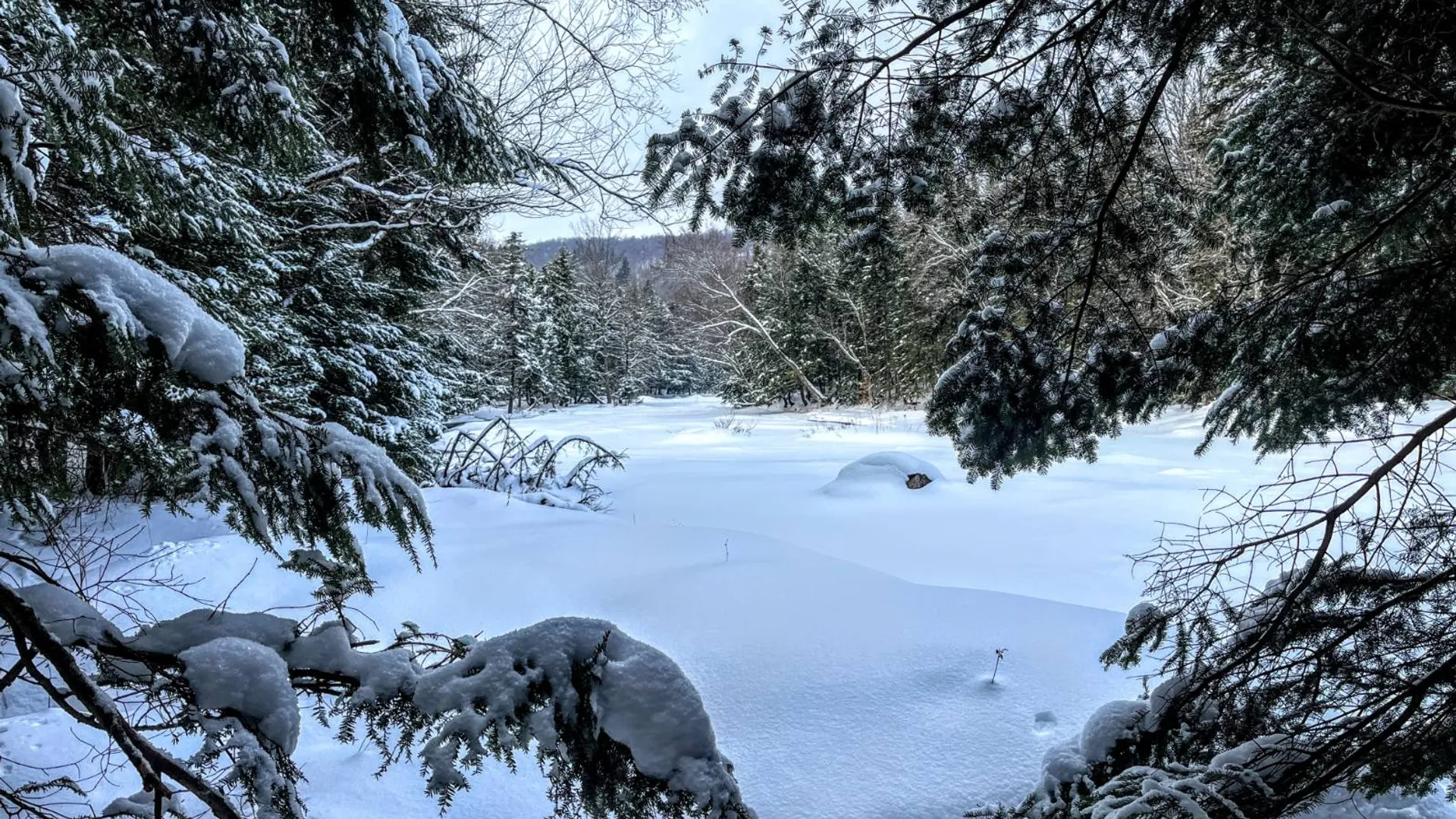 Property at 00 Coffin Mills Rd, Oswegatchie, NY 13670 23
