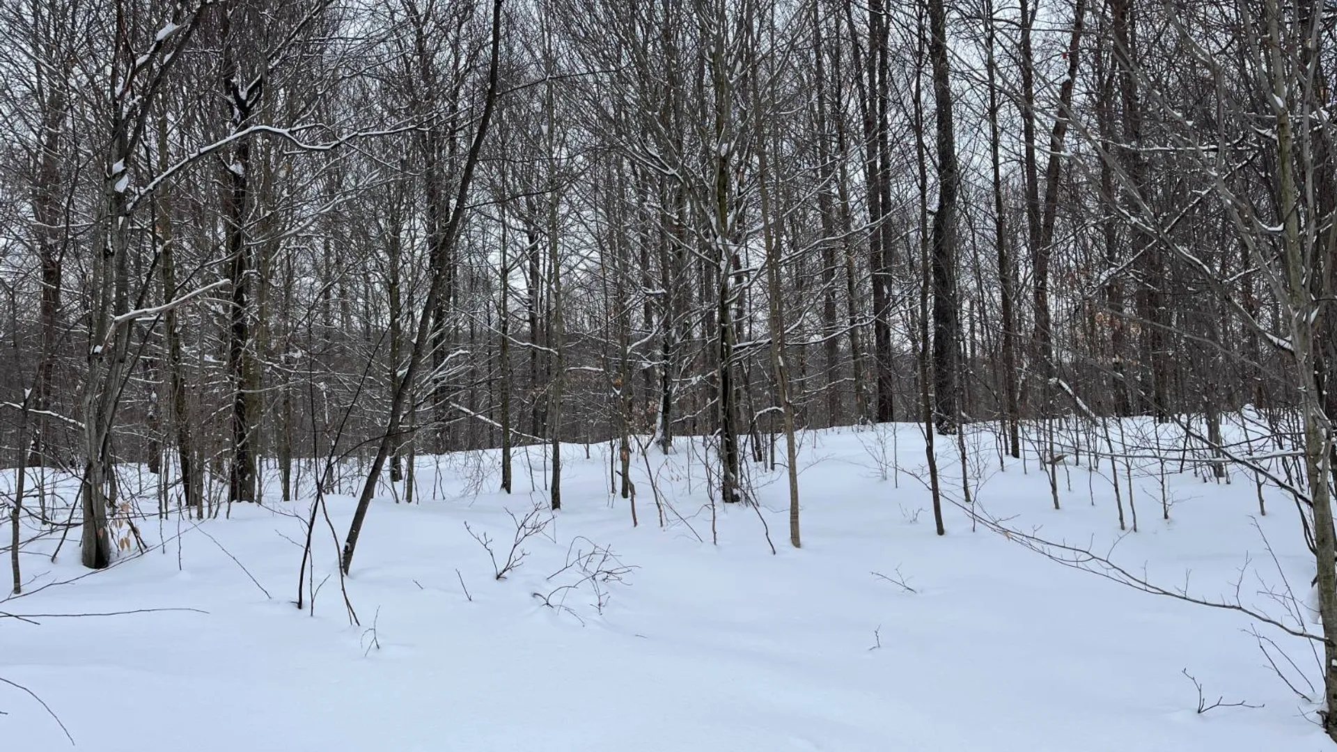 Property at 00 Coffin Mills Rd, Oswegatchie, NY 13670 28
