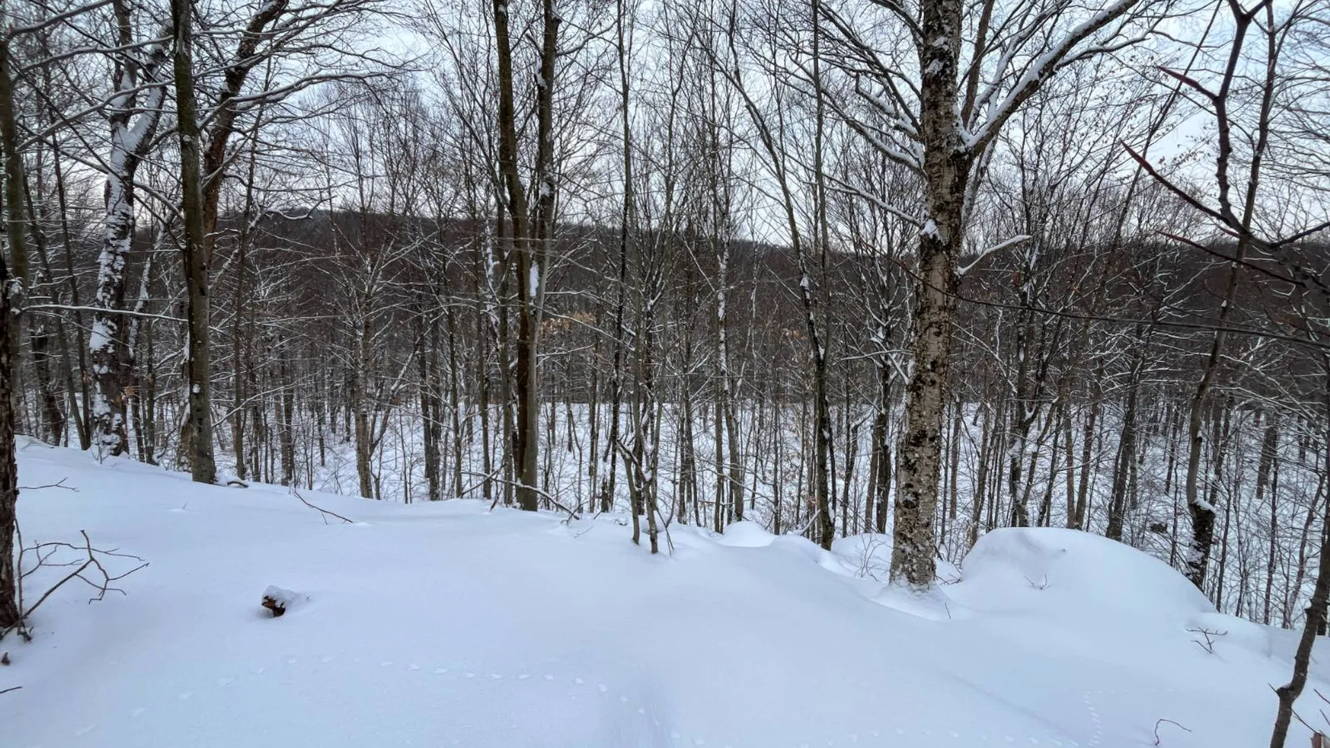 Property at 00 Coffin Mills Rd, Oswegatchie, NY 13670 29