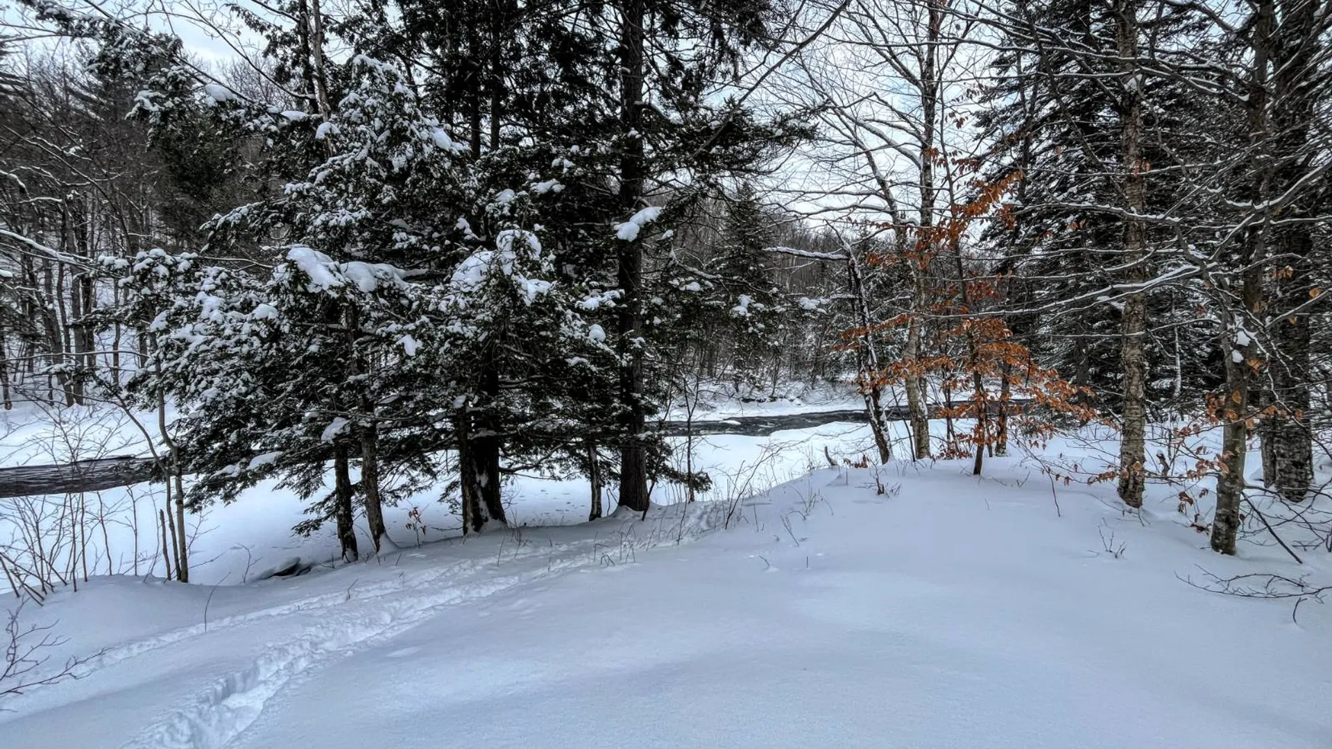 Property at 00 Coffin Mills Rd, Oswegatchie, NY 13670 33