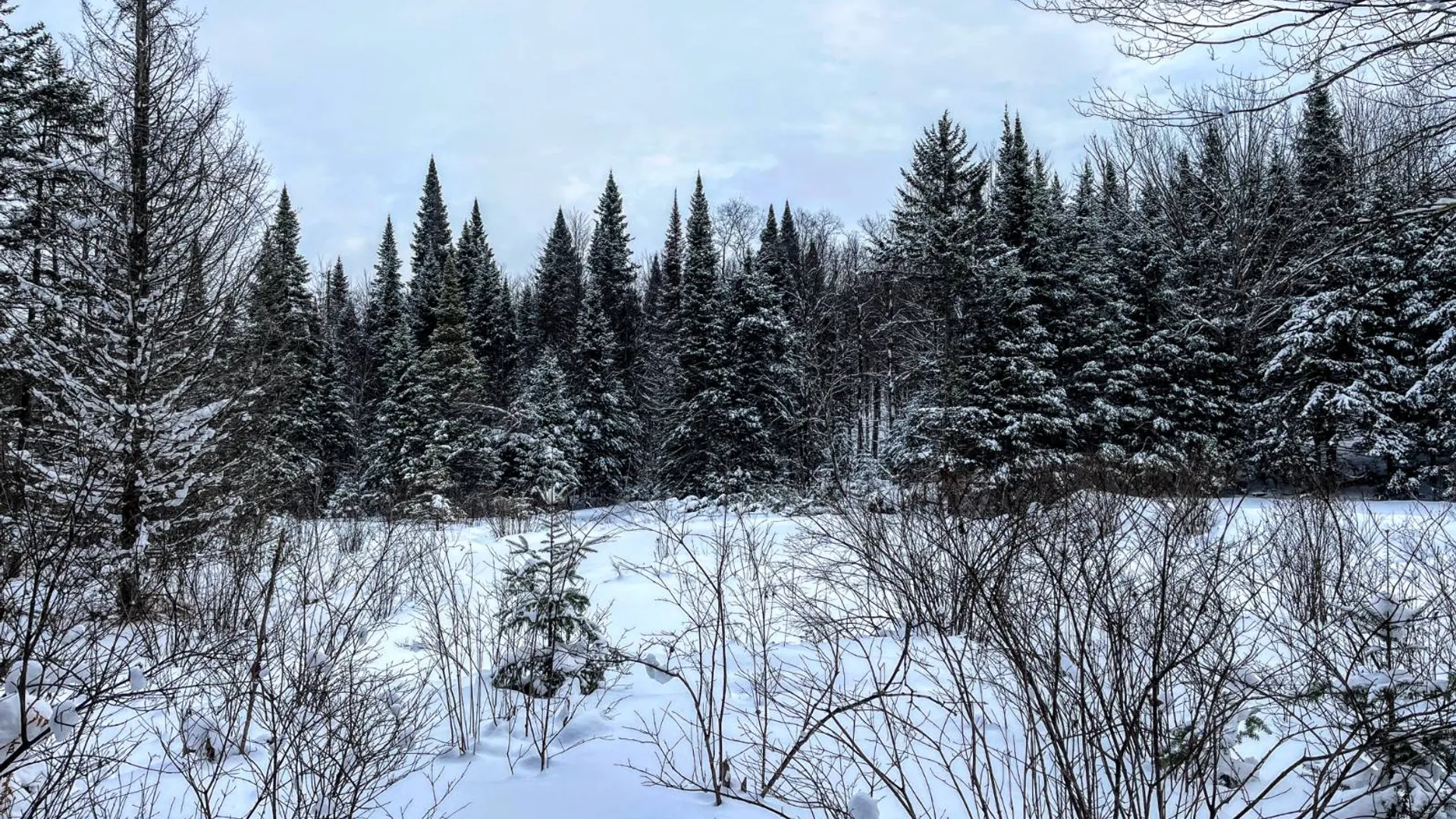 Property at 00 Coffin Mills Rd, Oswegatchie, NY 13670 34