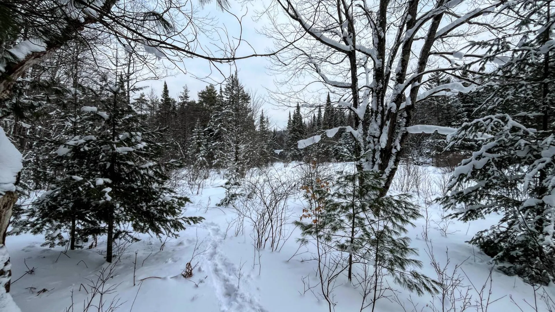 Property at 00 Coffin Mills Rd, Oswegatchie, NY 13670 35