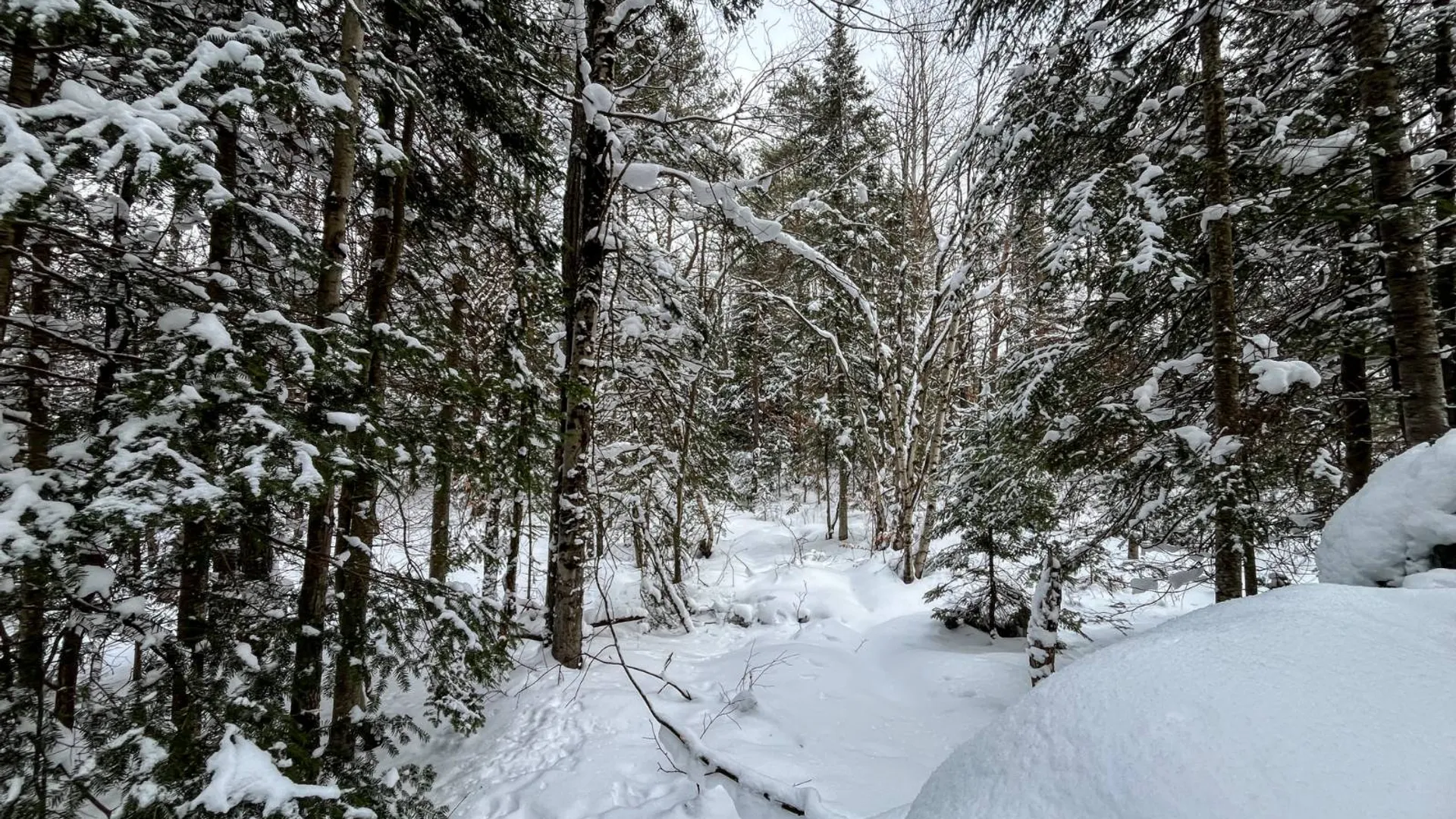Property at 00 Coffin Mills Rd, Oswegatchie, NY 13670 36