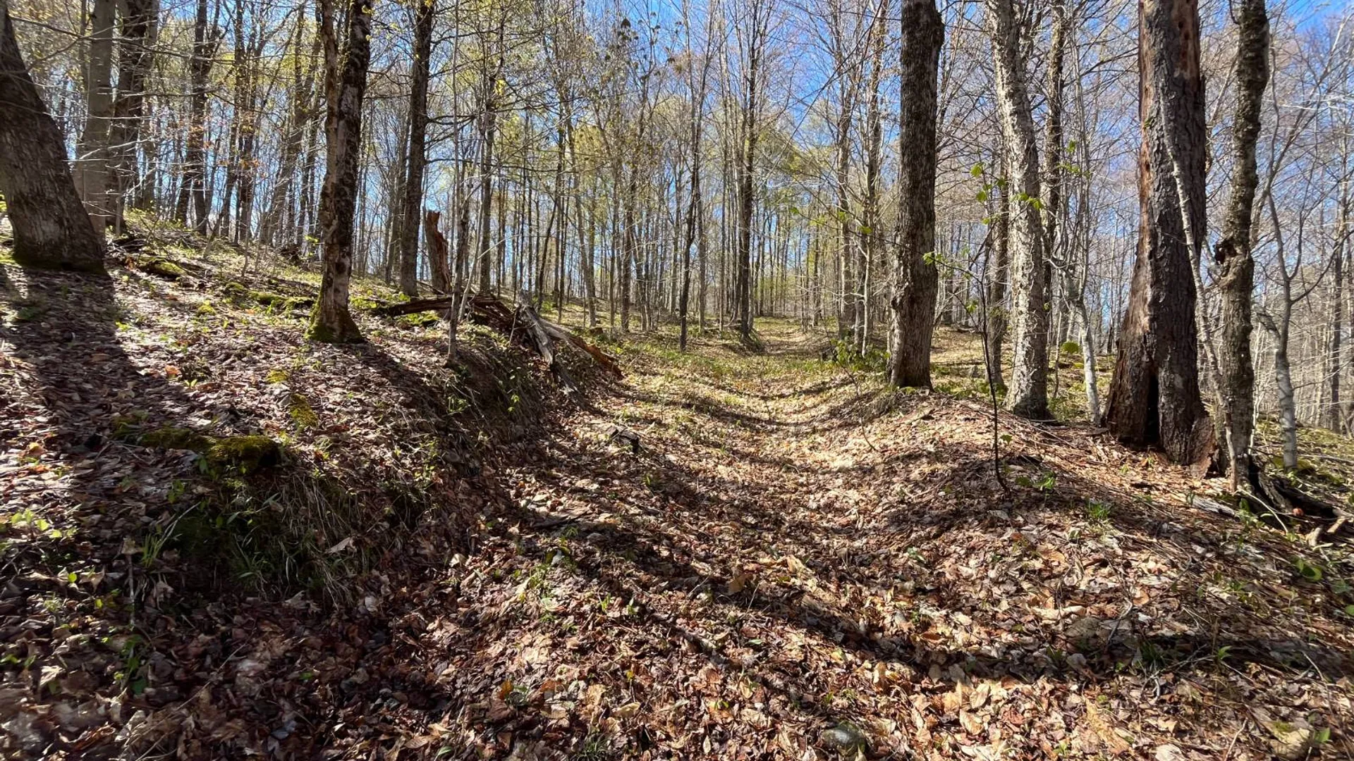 Property at 00 Coffin Mills Rd, Oswegatchie, NY 13670 45