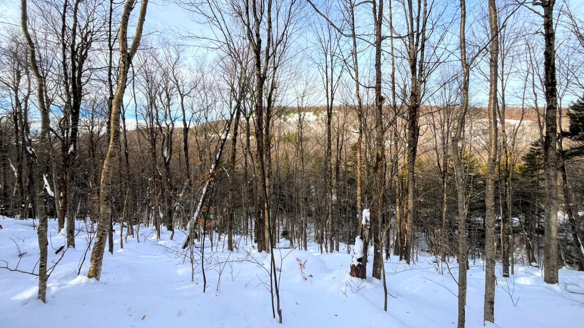 Property at 00 Coffin Mills Rd, Oswegatchie, NY 13670 49