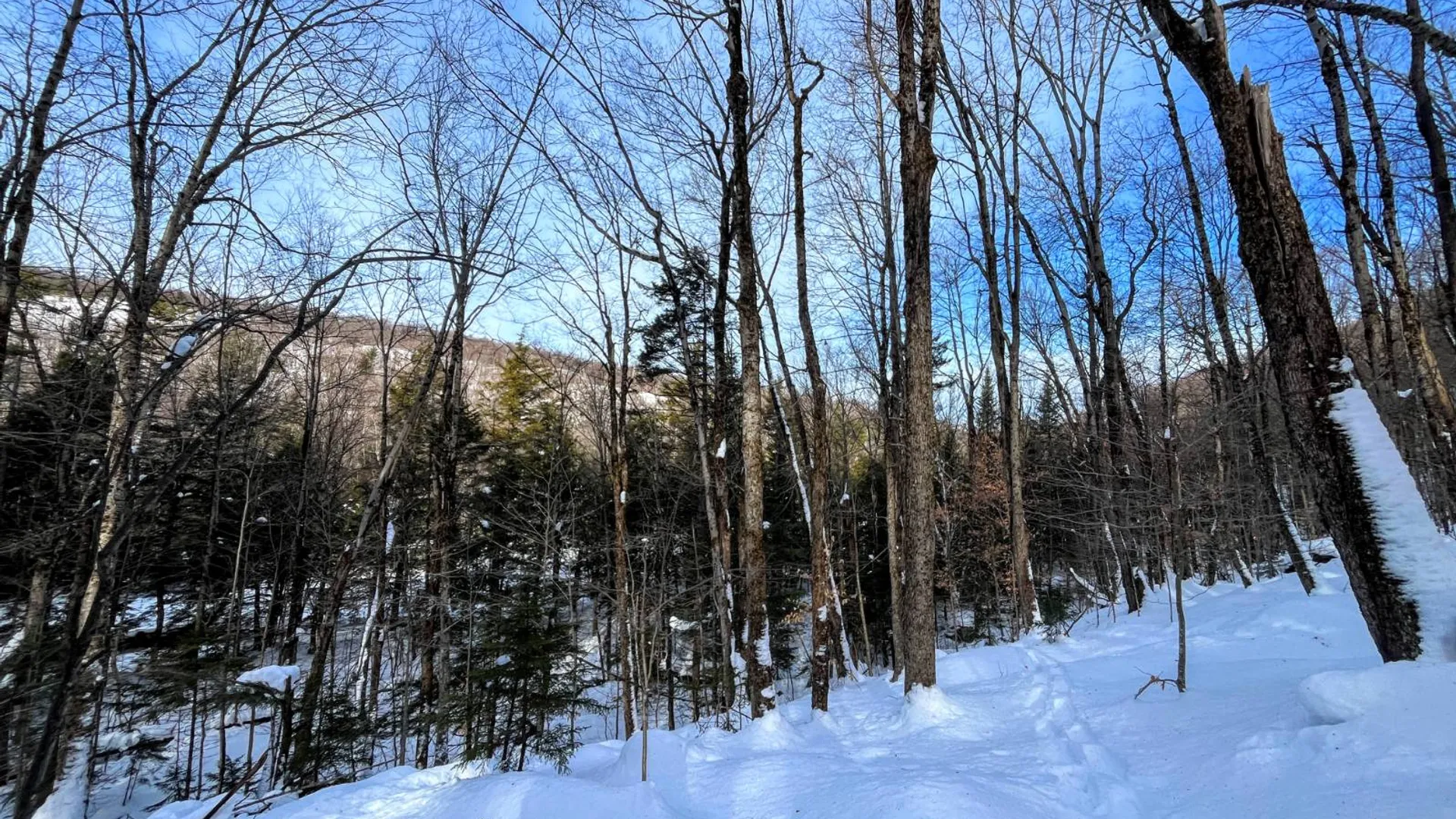 Property at 00 Coffin Mills Rd, Oswegatchie, NY 13670 7