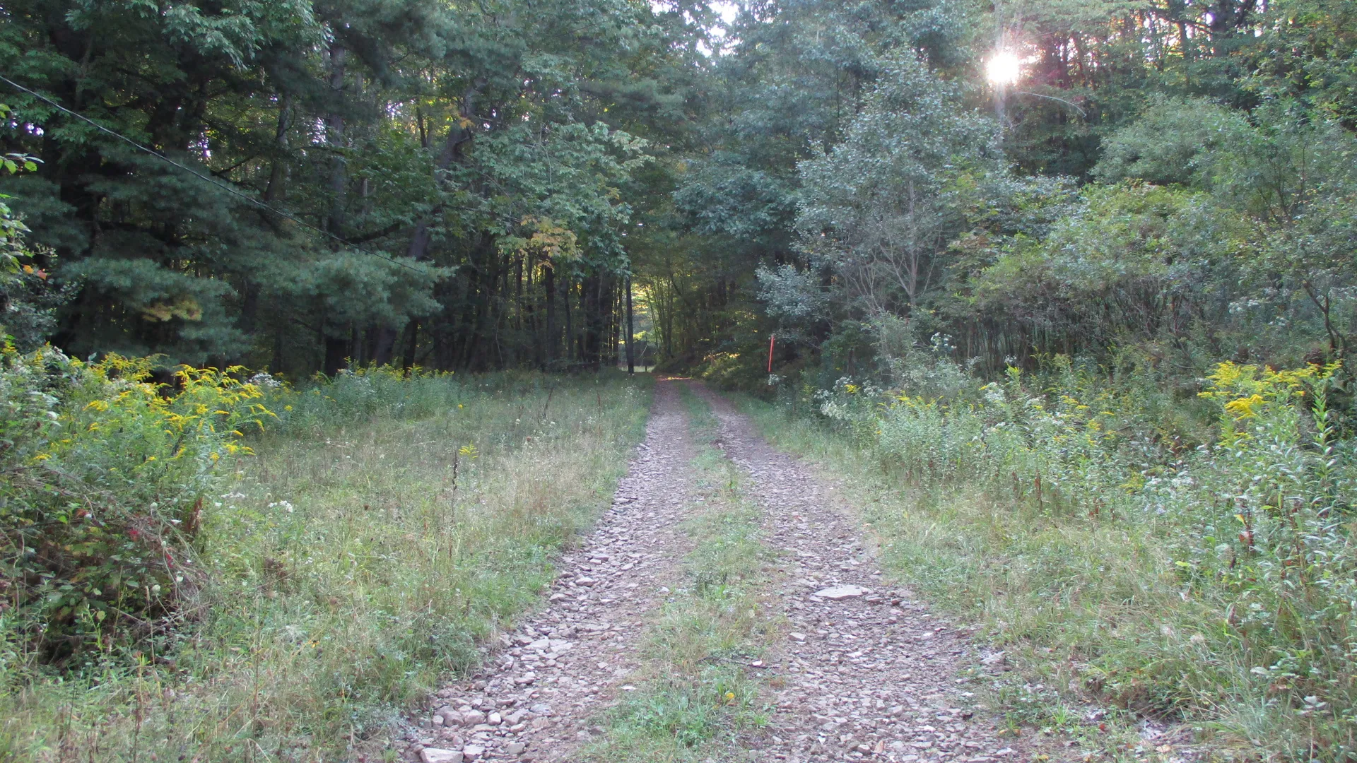 Property at County Road 5, Bolivar, NY 14715 11