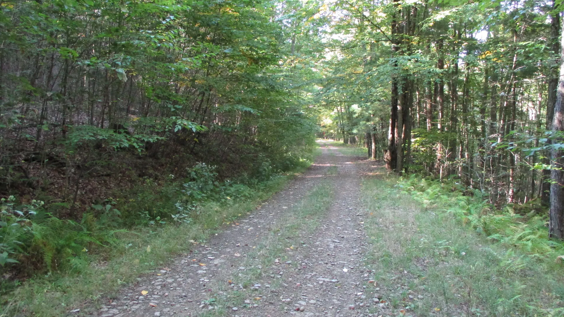Property at County Road 5, Bolivar, NY 14715 12