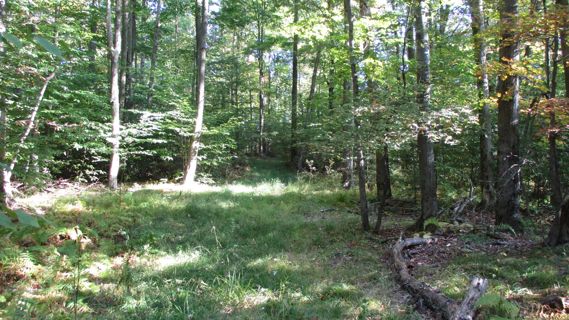 Property at County Road 5, Bolivar, NY 14715 15