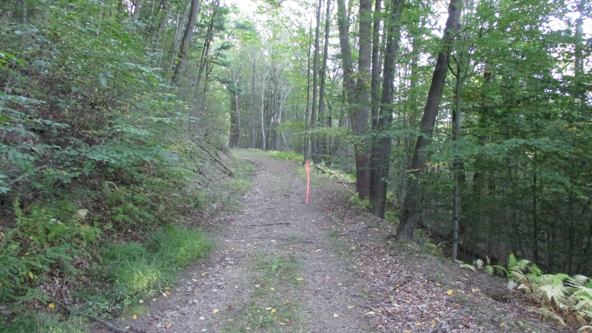 Property at County Road 5, Bolivar, NY 14715 9