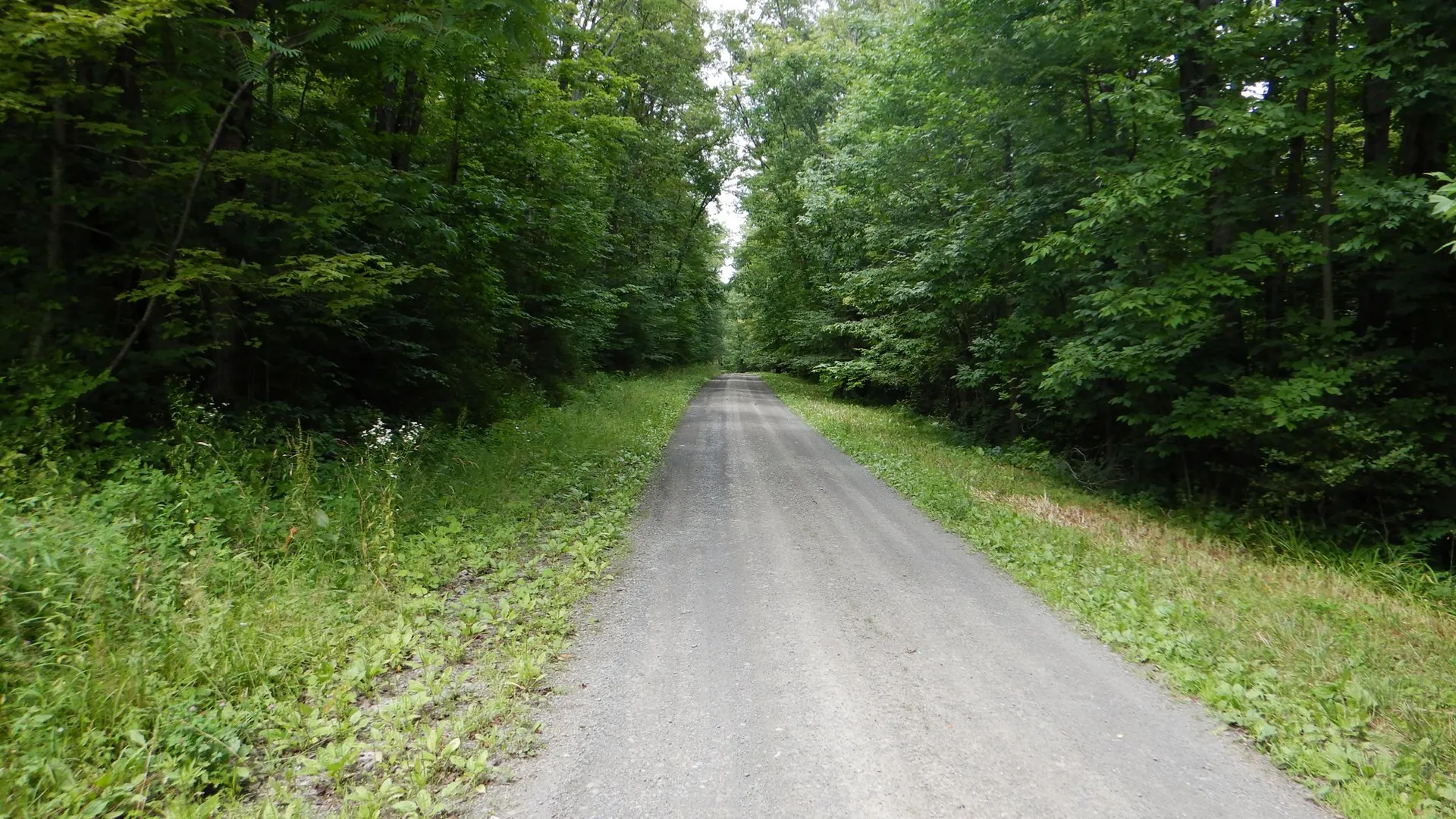 Property at Chaffee Creek Road, Newfield, NY 14867 21