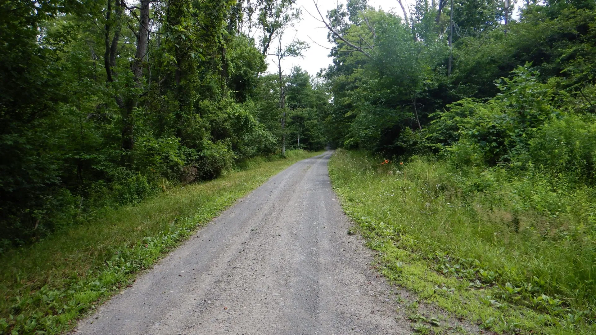 Property at Chaffee Creek Road, Newfield, NY 14867 22