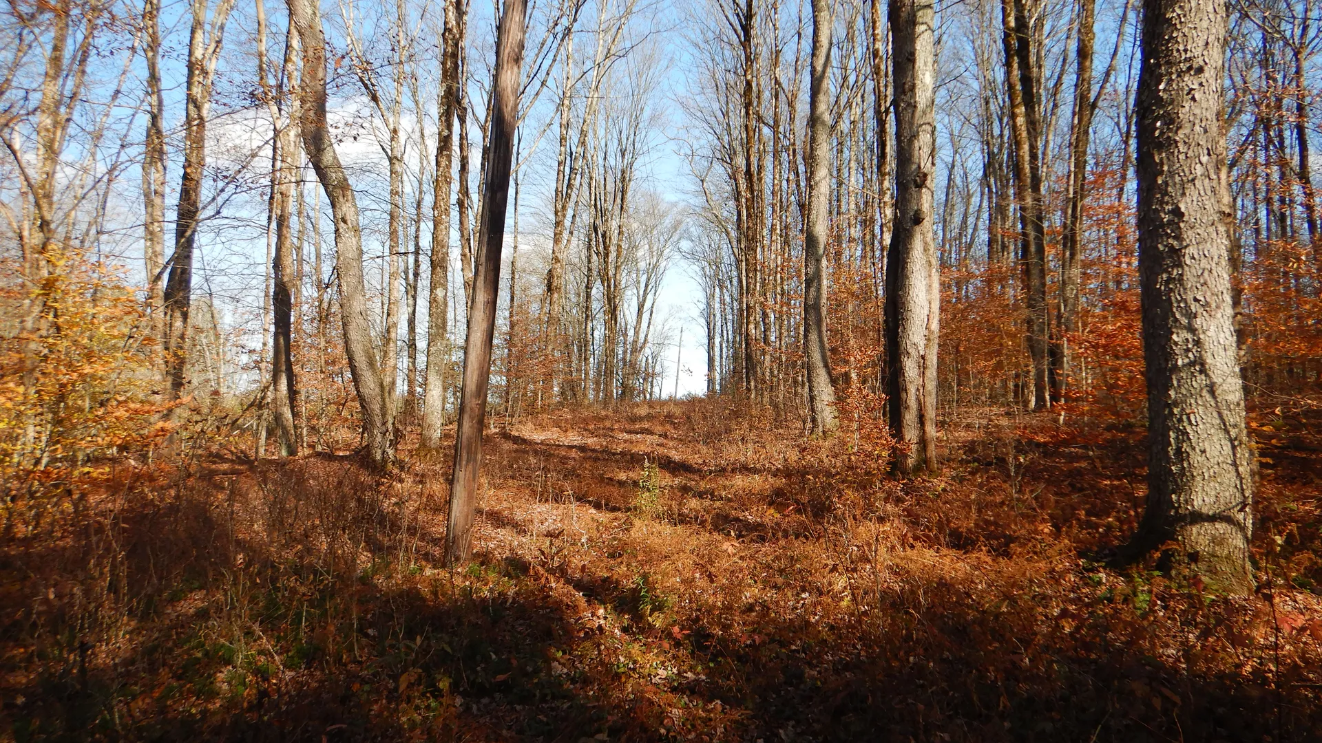 Property at State Highway 220, Oxford, NY 13830 11