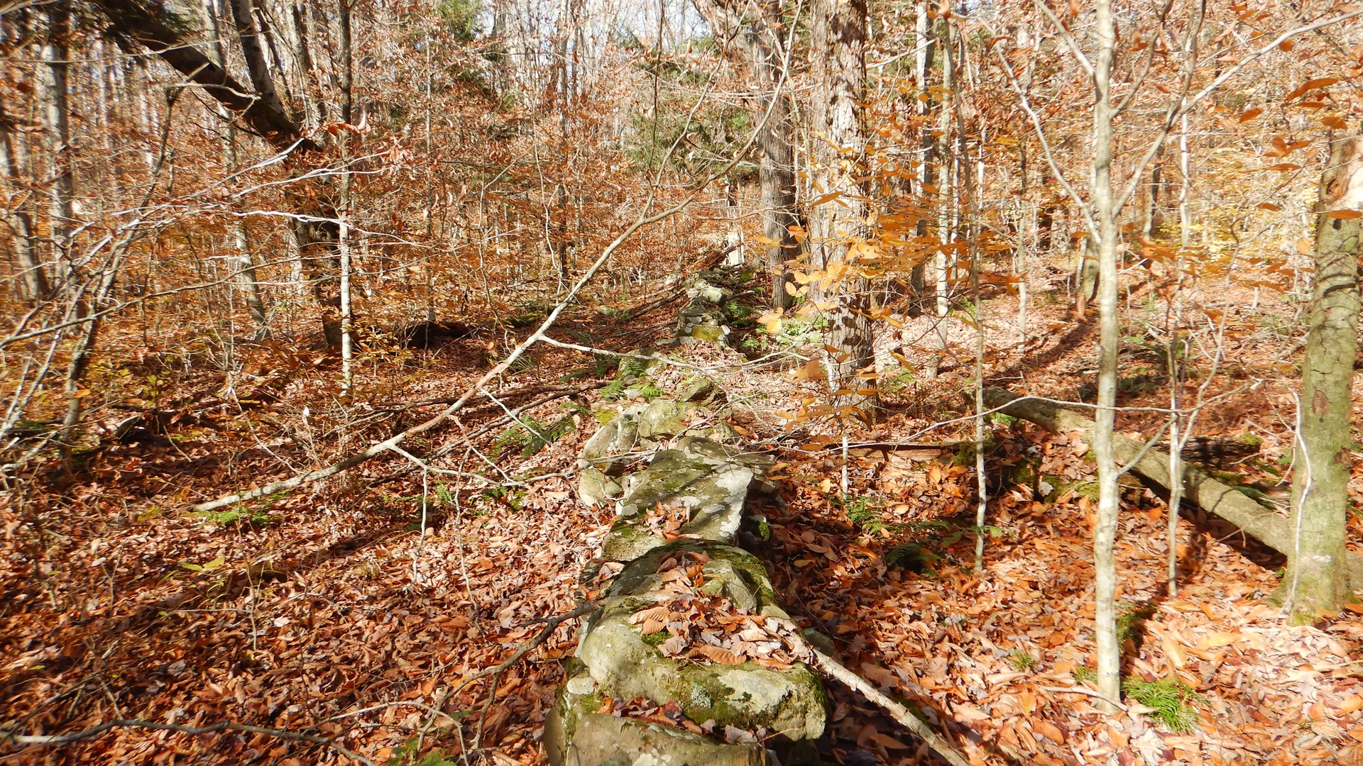 Property at State Highway 220, Oxford, NY 13830 12