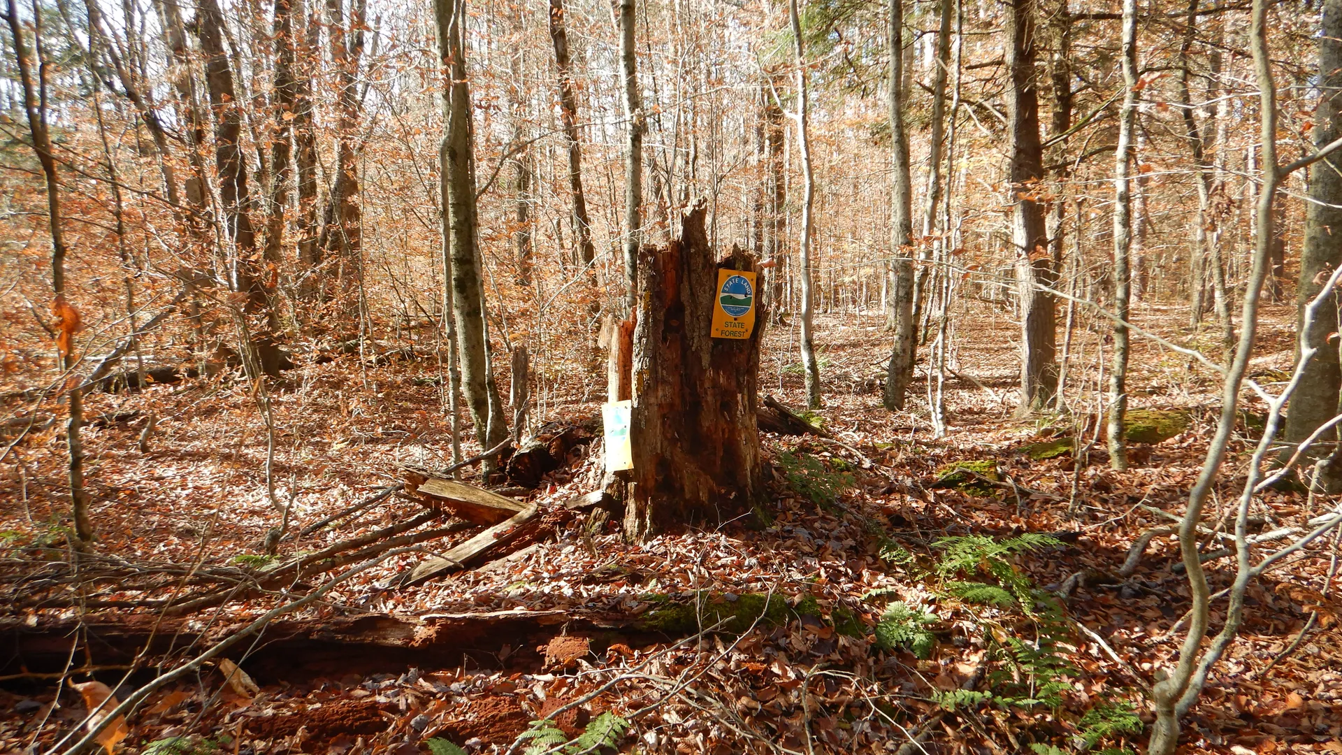 Property at State Highway 220, Oxford, NY 13830 15