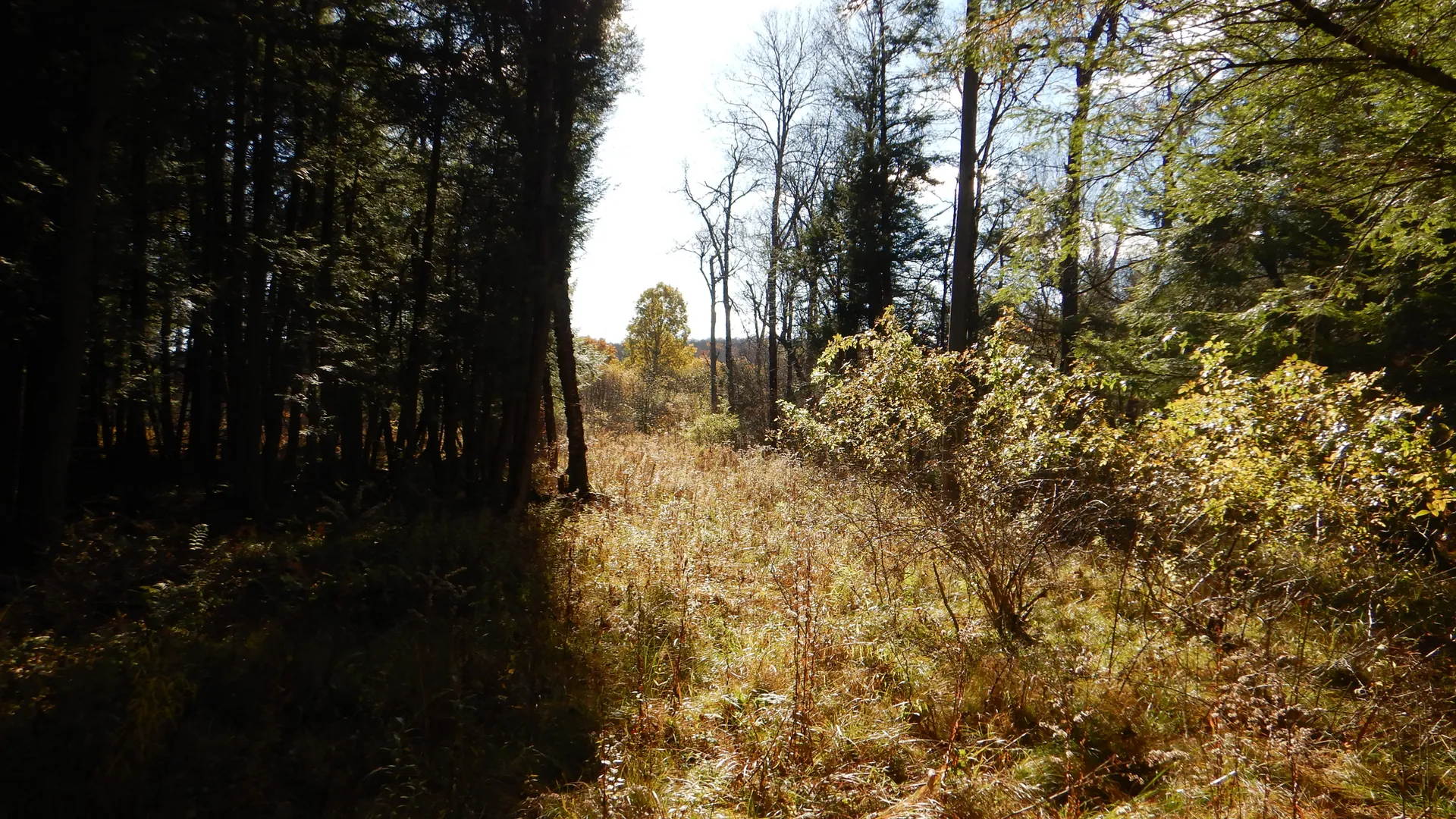 Property at State Highway 220, Oxford, NY 13830 16