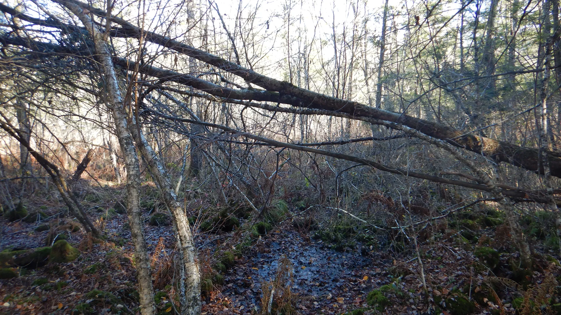 Property at State Highway 220, Oxford, NY 13830 20