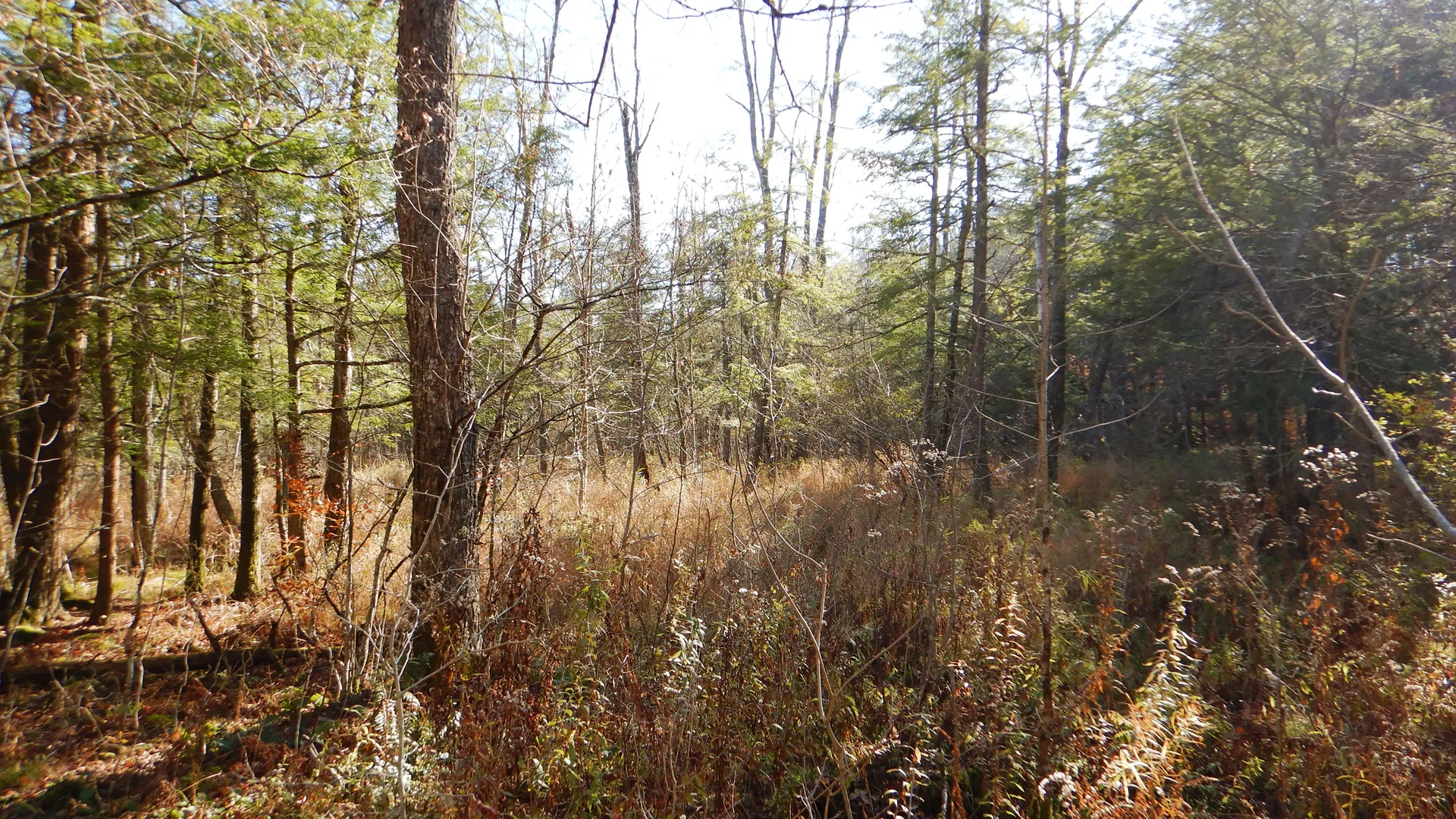 Property at State Highway 220, Oxford, NY 13830 23
