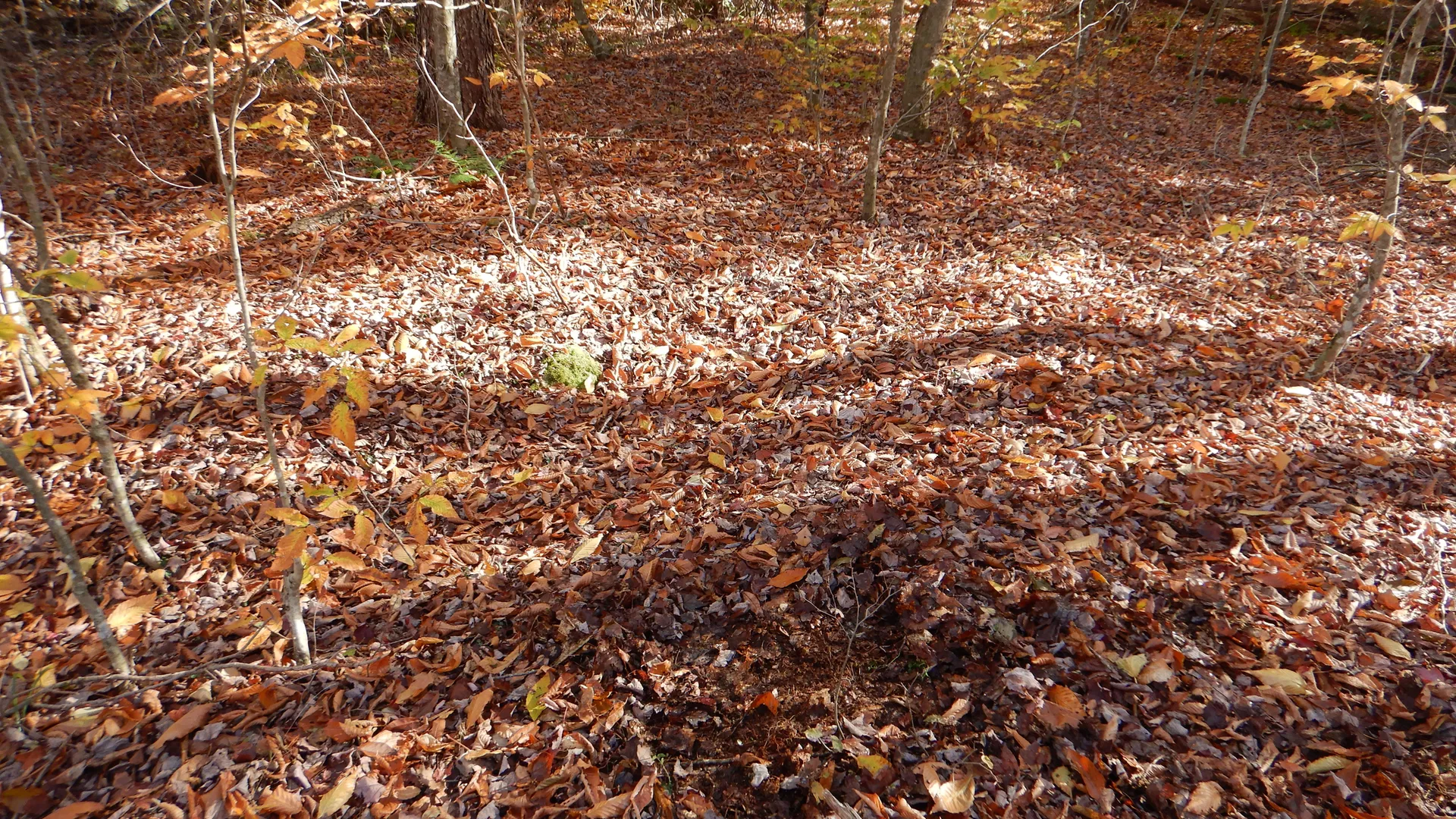 Property at State Highway 220, Oxford, NY 13830 28