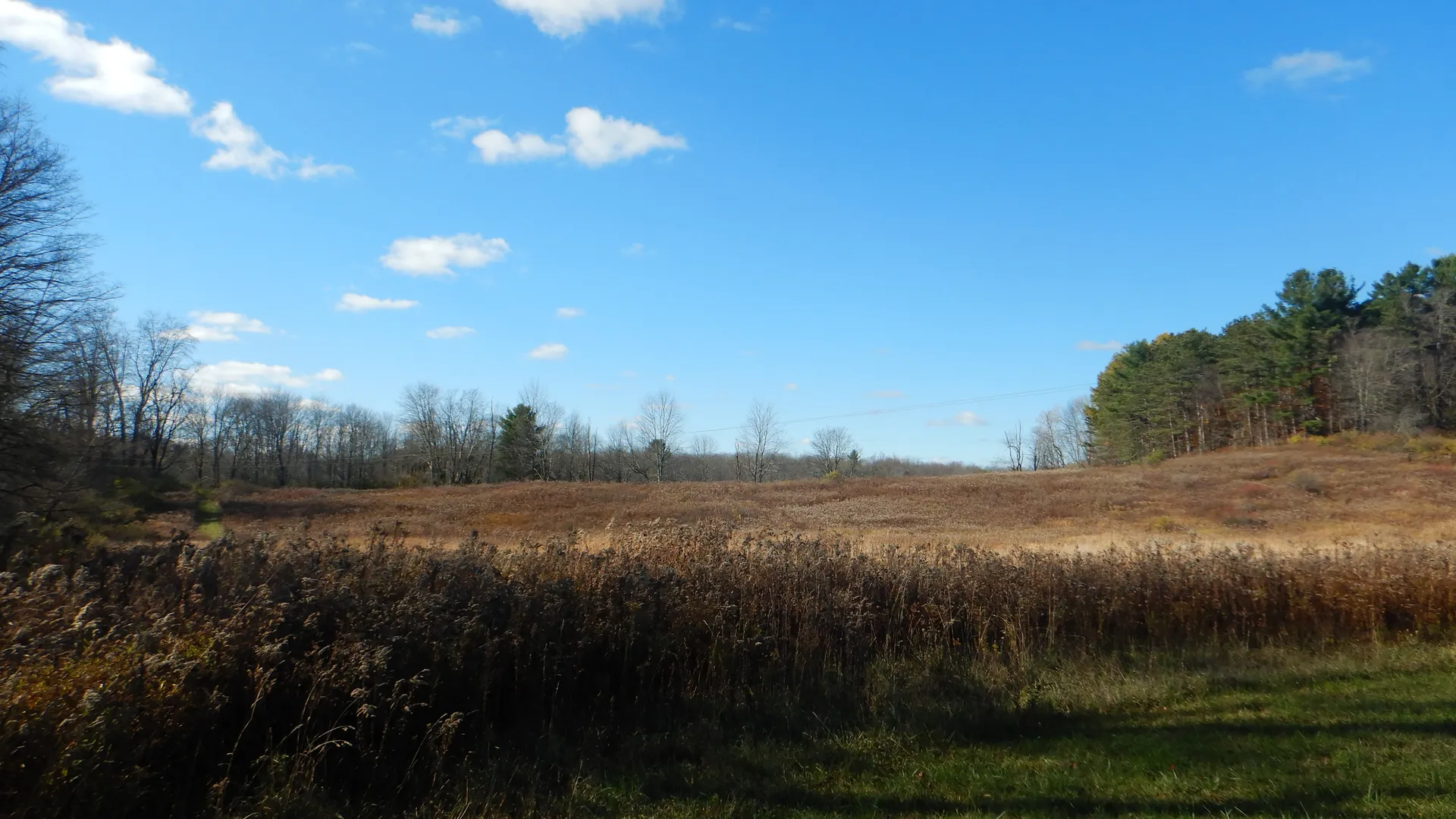 Property at State Highway 220, Oxford, NY 13830 3
