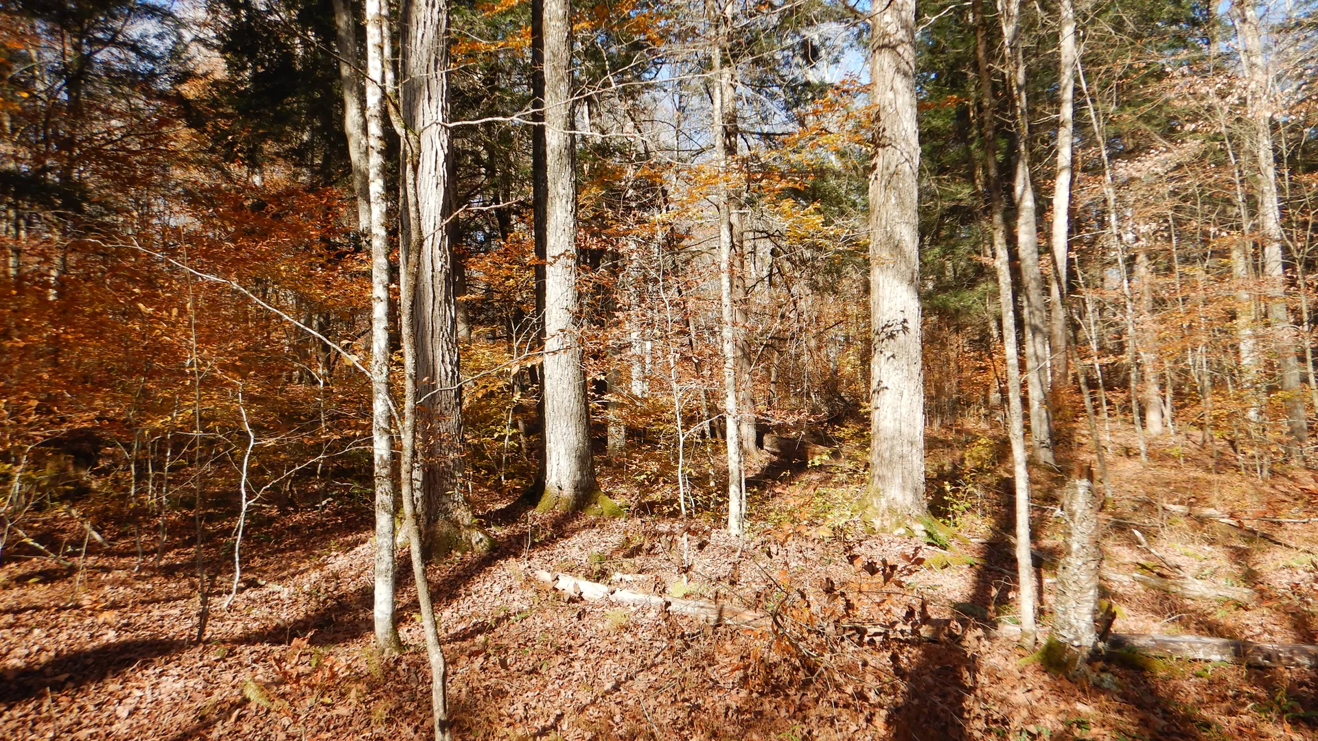 Property at State Highway 220, Oxford, NY 13830 30