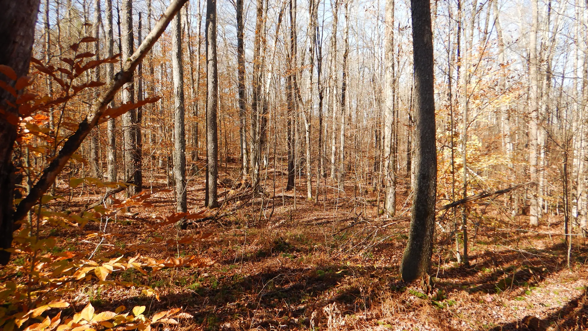 Property at State Highway 220, Oxford, NY 13830 32