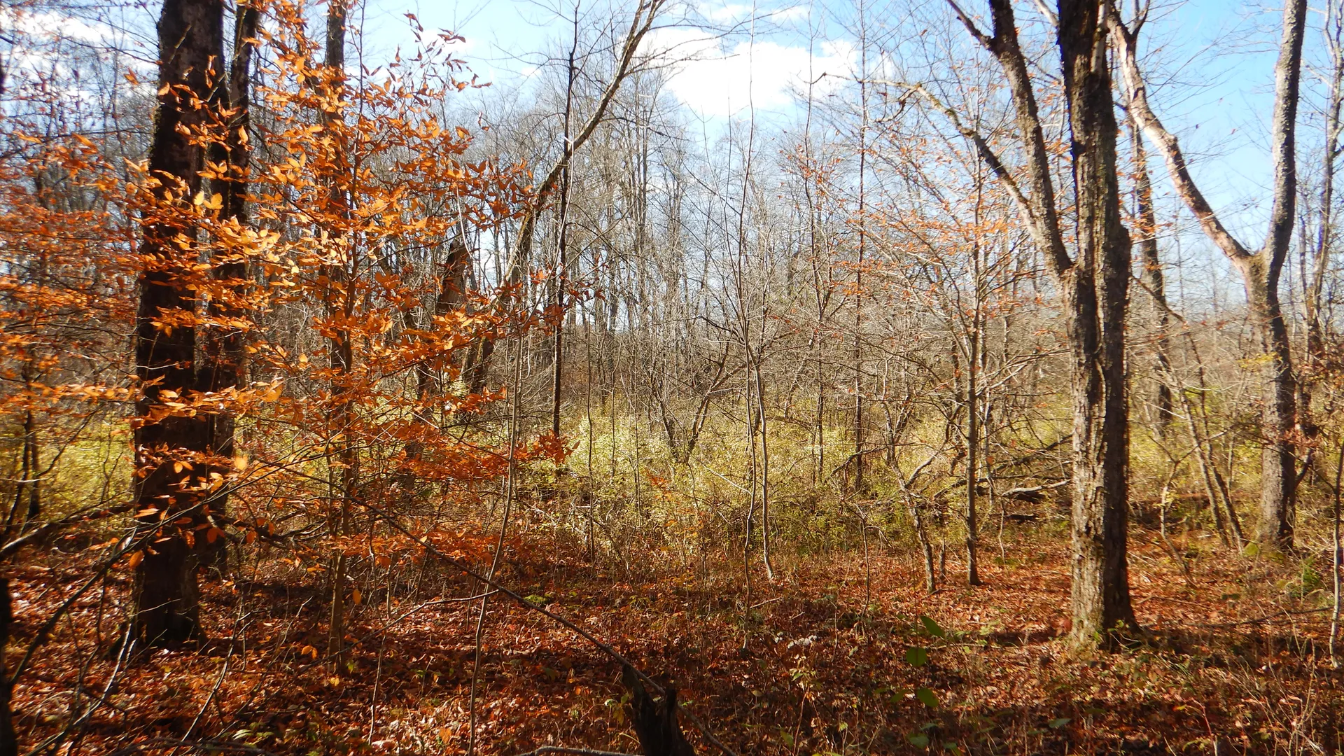 Property at State Highway 220, Oxford, NY 13830 5