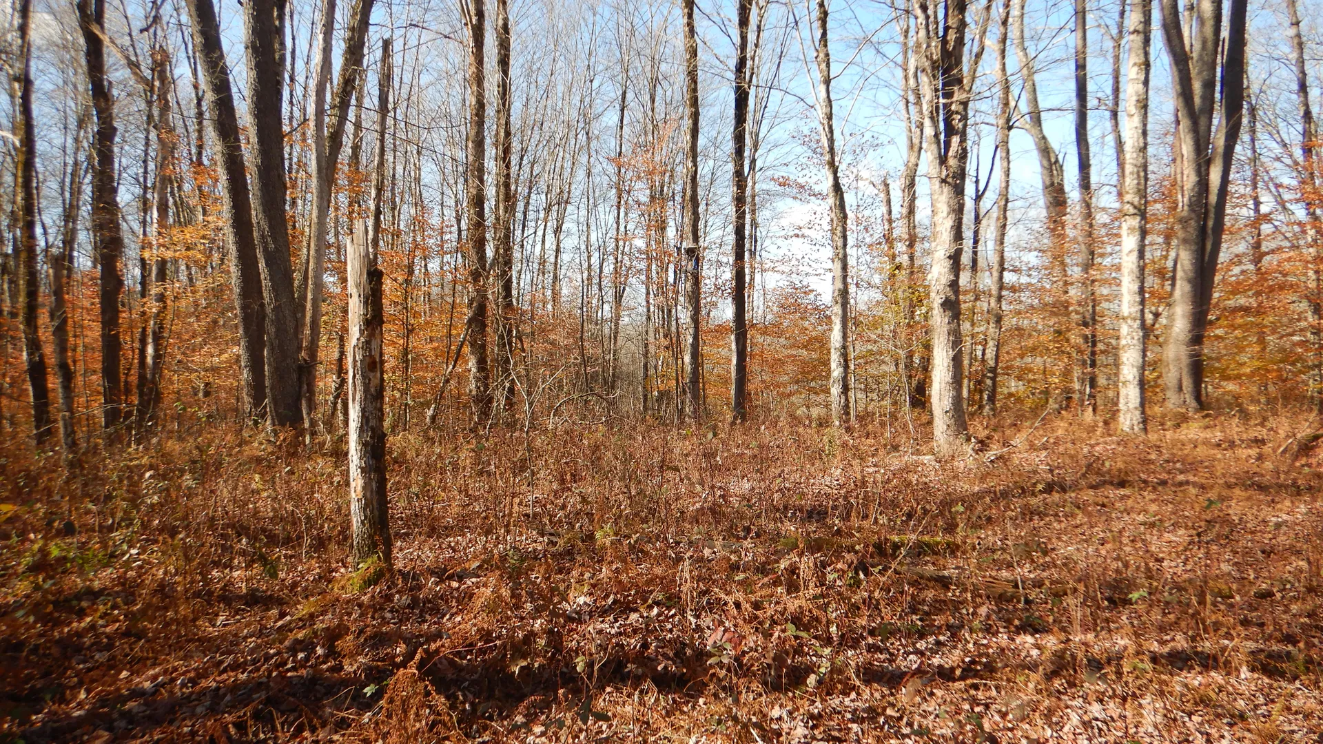 Property at State Highway 220, Oxford, NY 13830 9