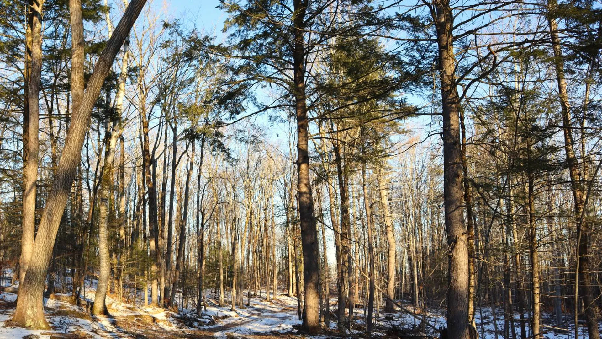 Property at 0 Parker Rd Rear, Hadley, NY 12822 10