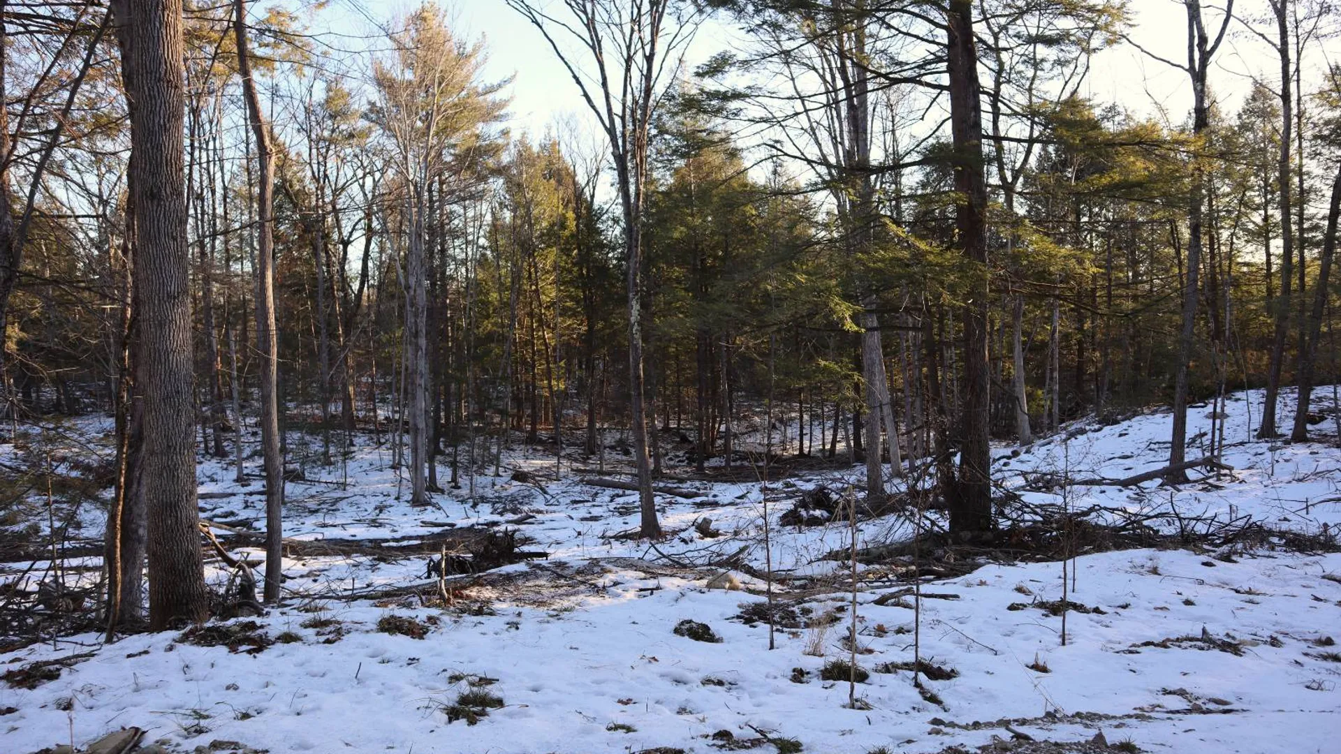 Property at 0 Parker Rd Rear, Hadley, NY 12822 11