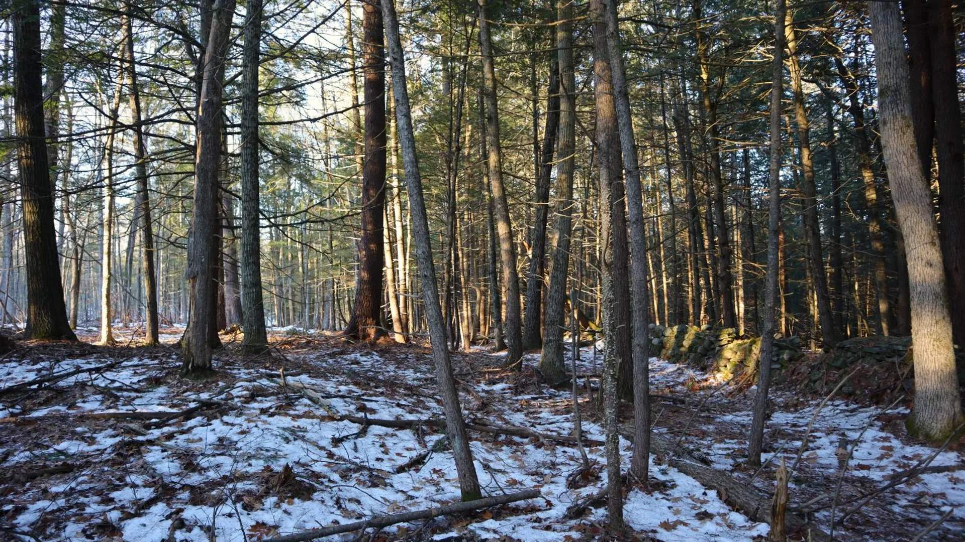 Property at 0 Parker Rd Rear, Hadley, NY 12822 13