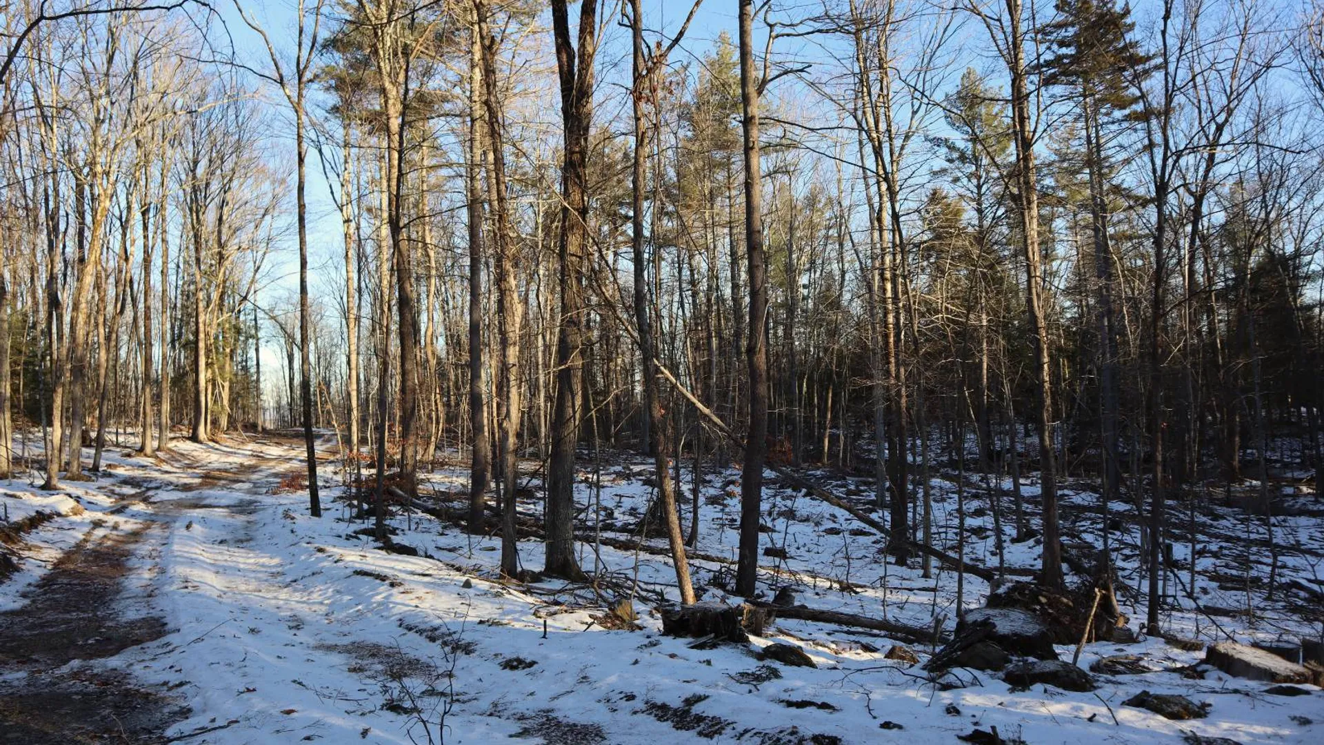 Property at 0 Parker Rd Rear, Hadley, NY 12822 14