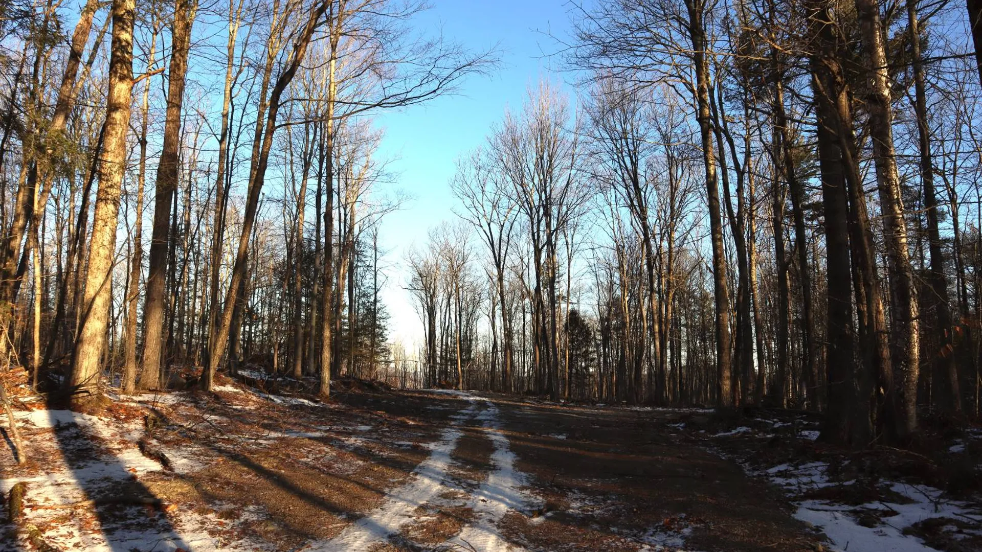 Property at 0 Parker Rd Rear, Hadley, NY 12822 15