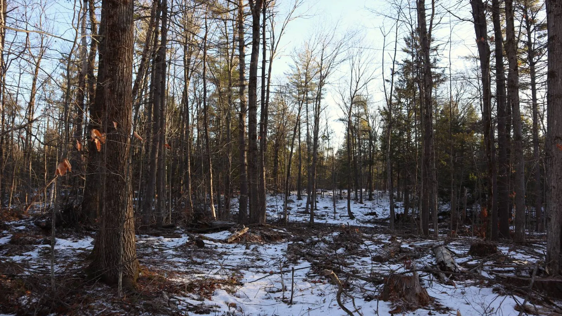 Property at 0 Parker Rd Rear, Hadley, NY 12822 16