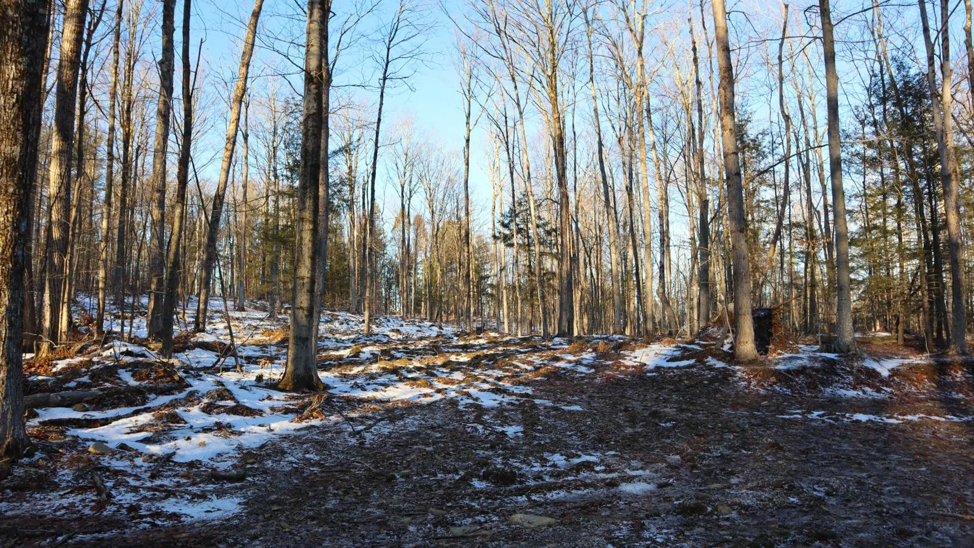 Property at 0 Parker Rd Rear, Hadley, NY 12822 17