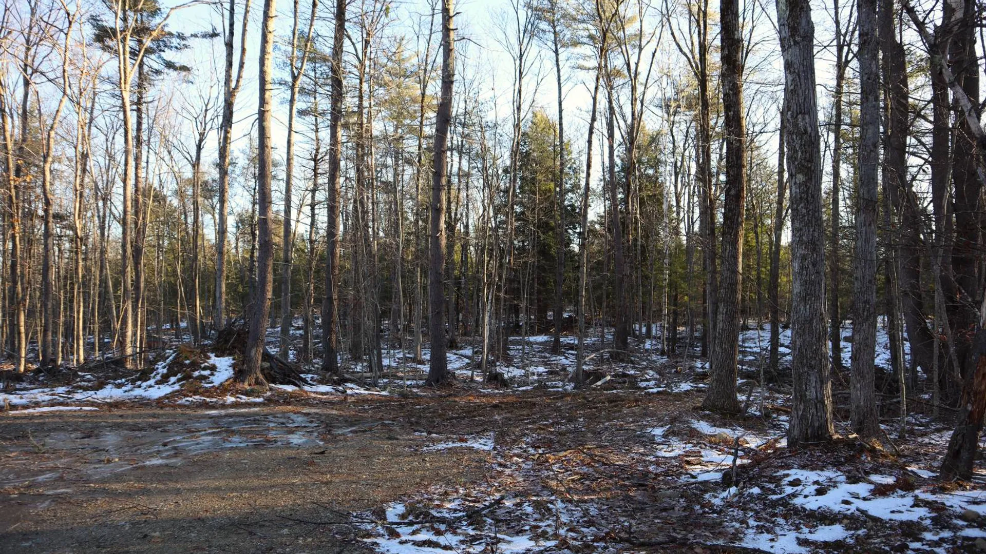 Property at 0 Parker Rd Rear, Hadley, NY 12822 18