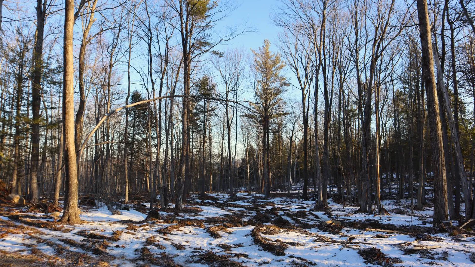 Property at 0 Parker Rd Rear, Hadley, NY 12822 19
