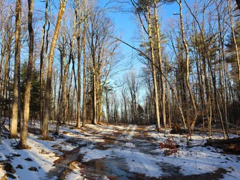 Property at 0 Parker Rd Rear, Hadley, NY 12822